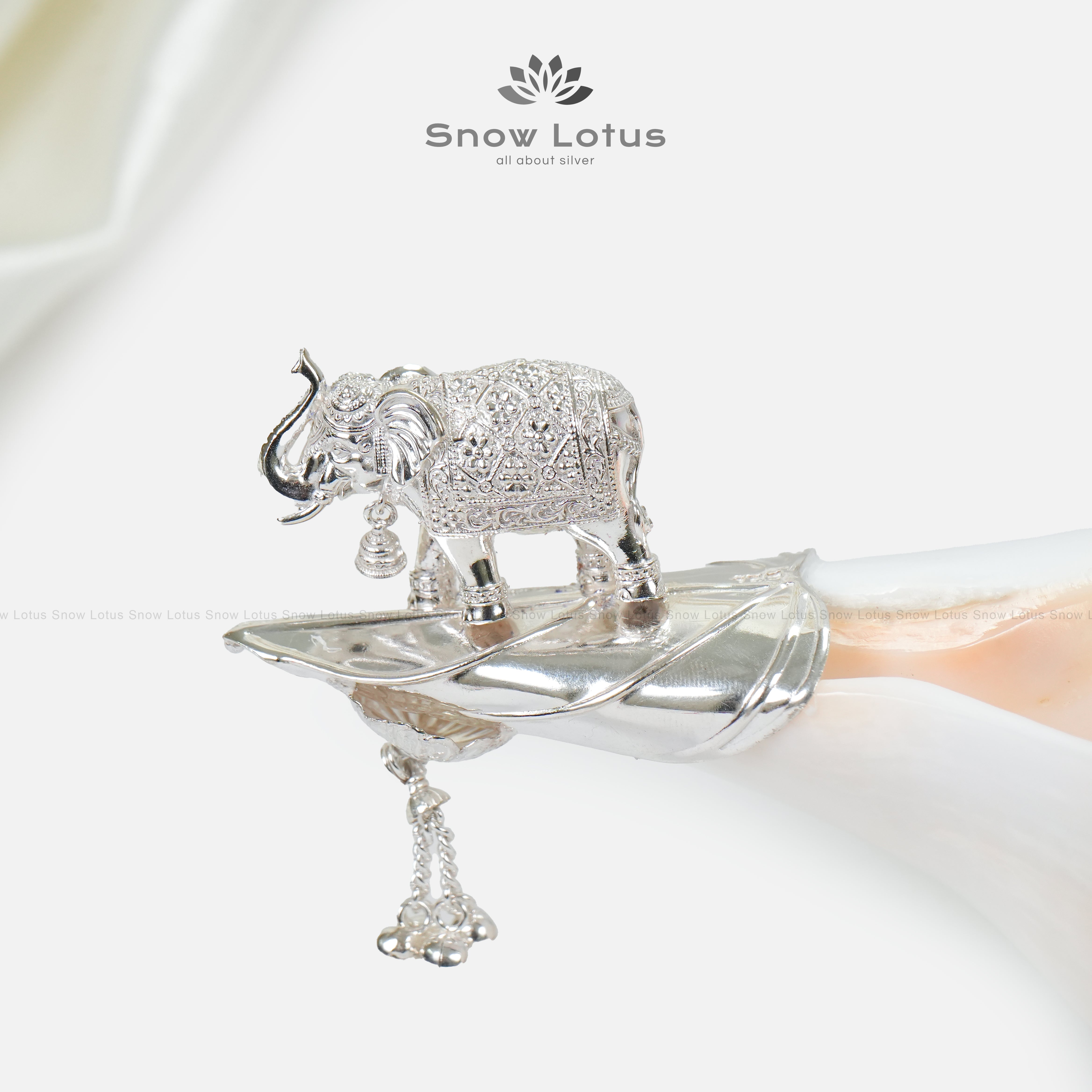 Shanq/conch Elephant