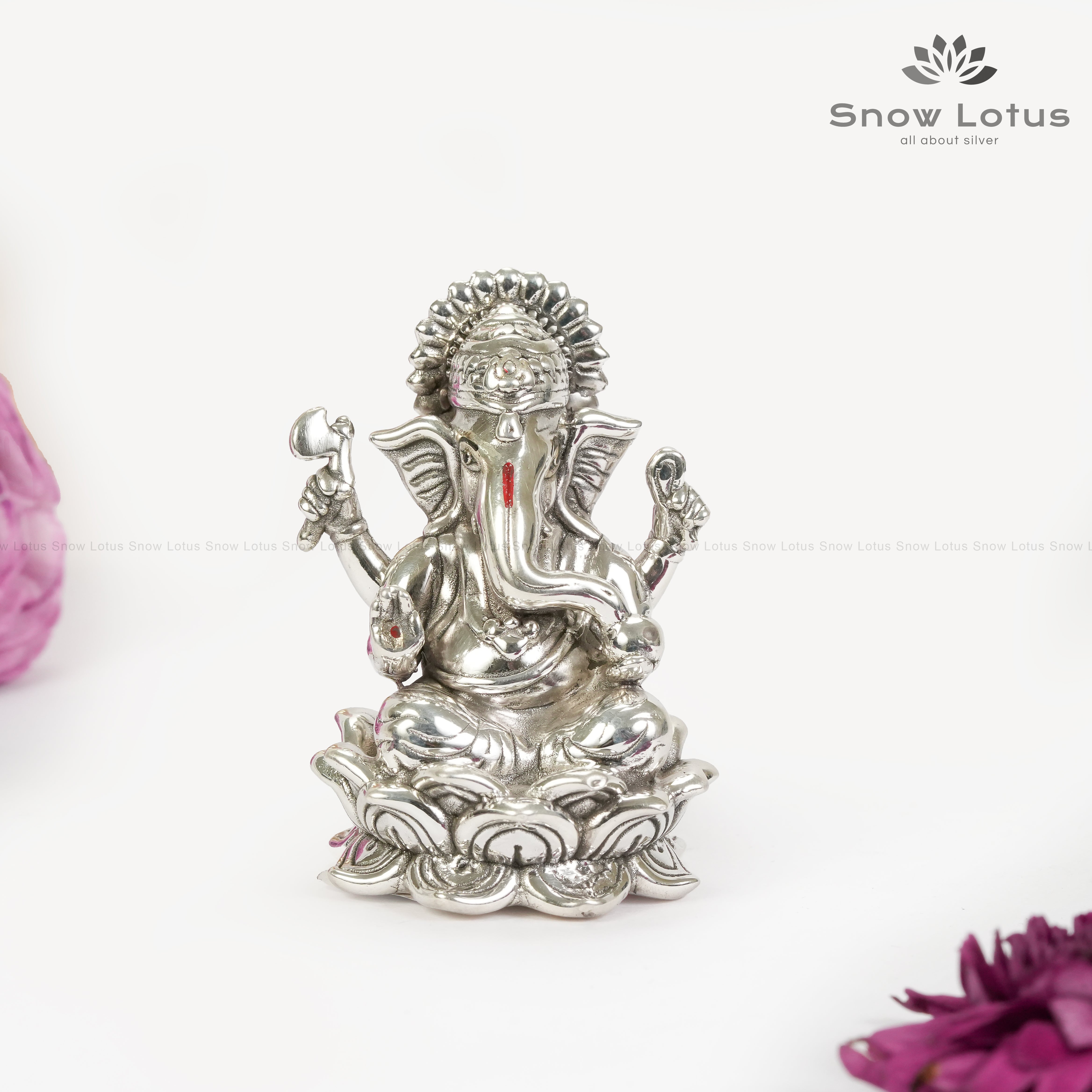 999 Lotus Ganesh M1