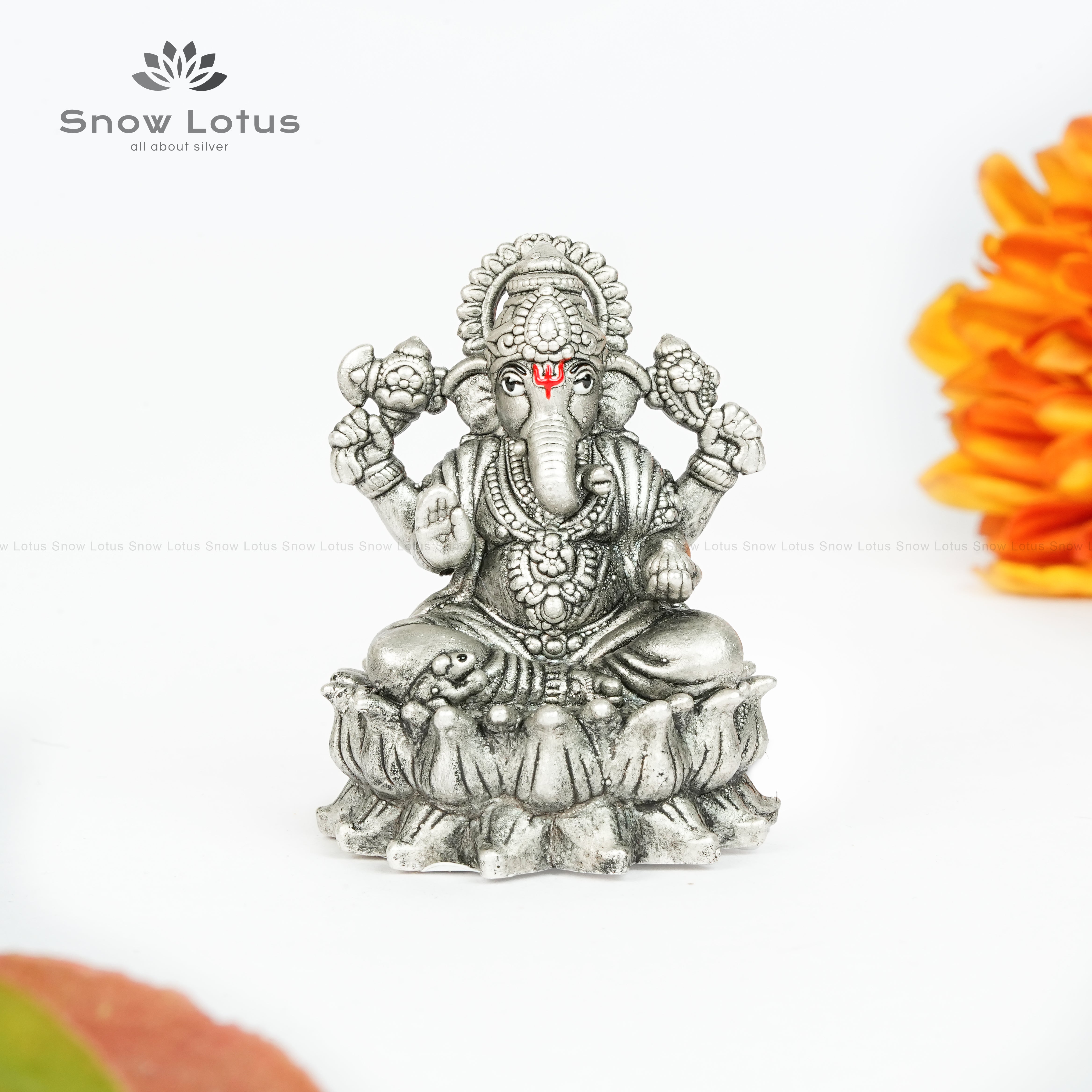 EF Lotus Ganesh