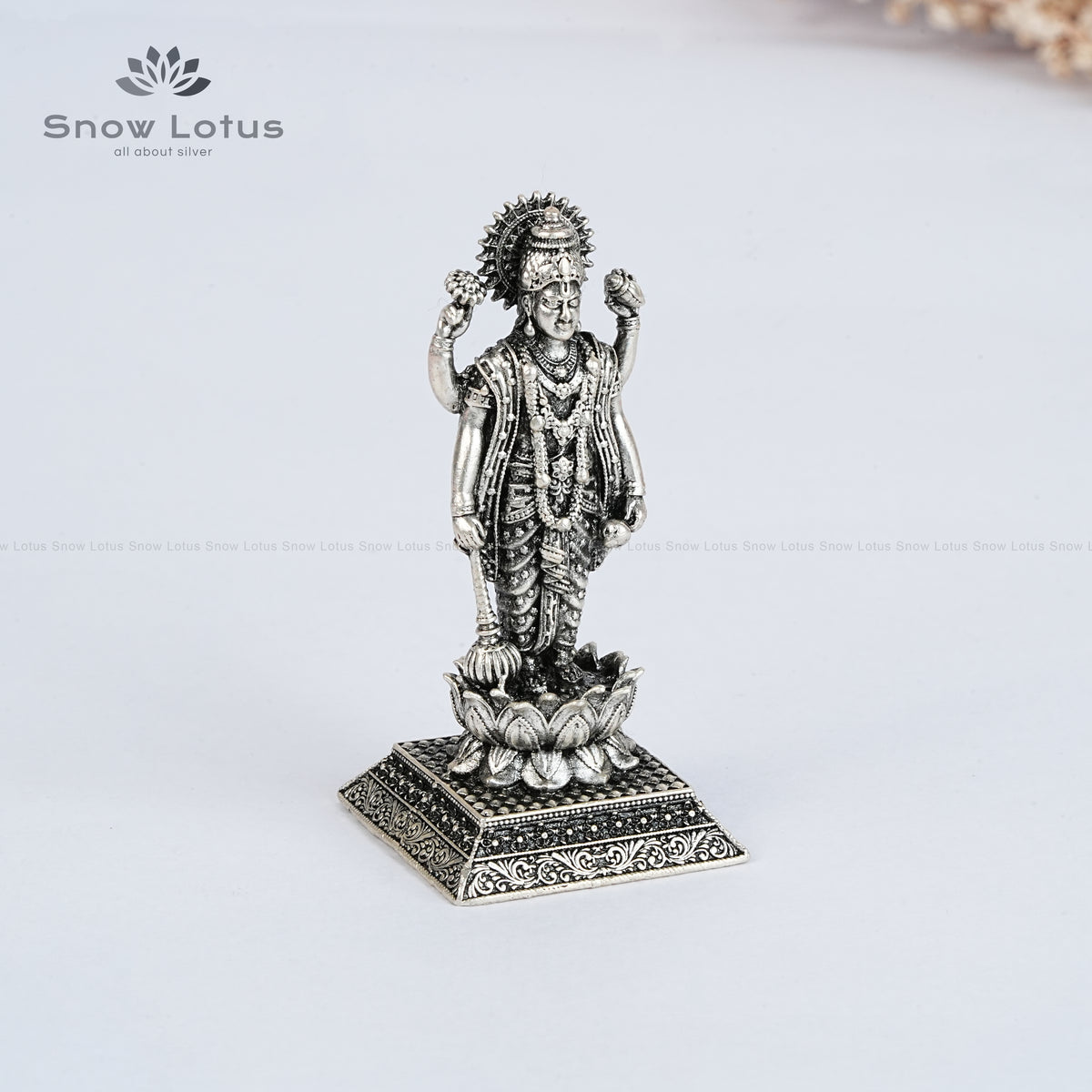 Standing VishnuMurthy/Satyanarayana Swamy