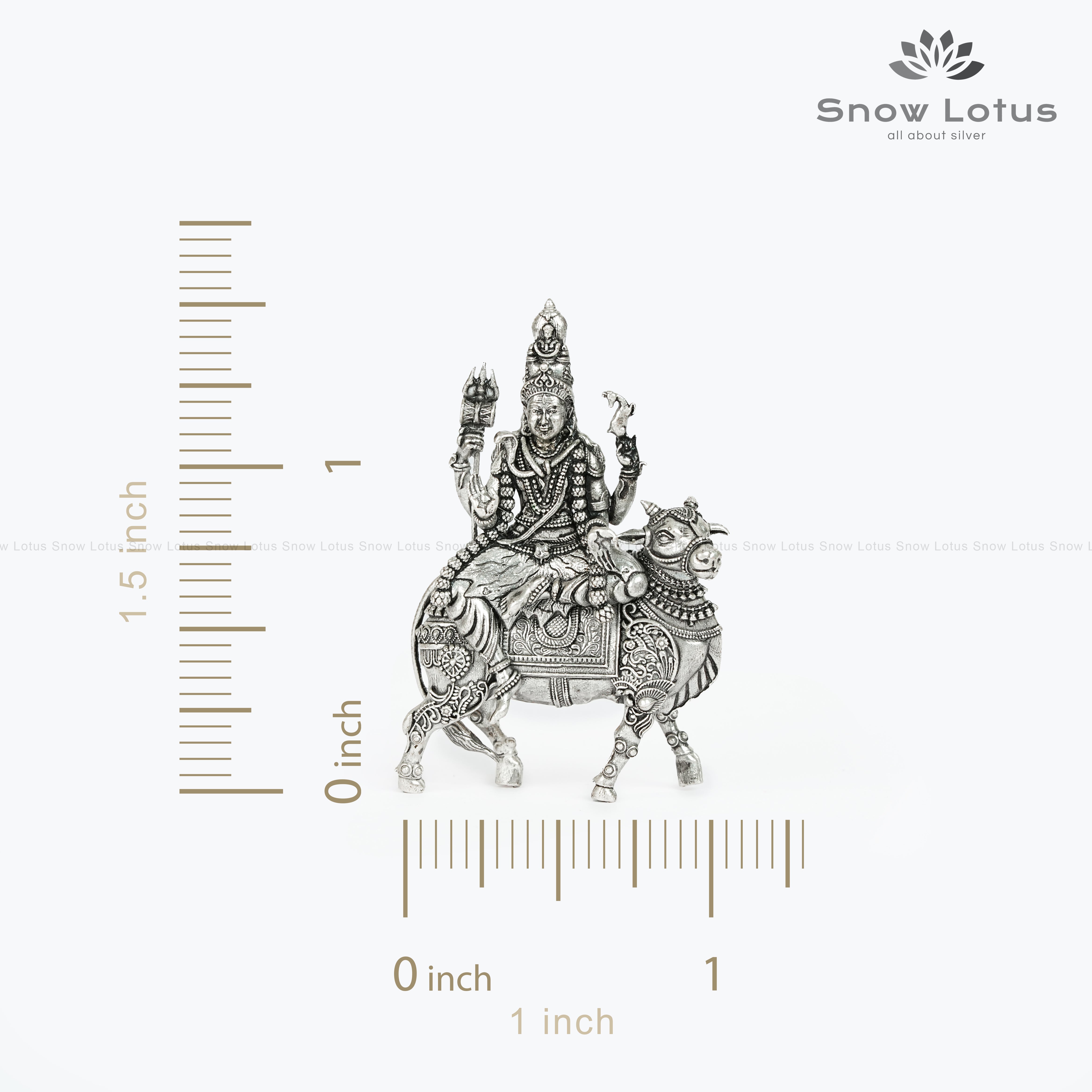 PC Nandeeshwara/Shiva