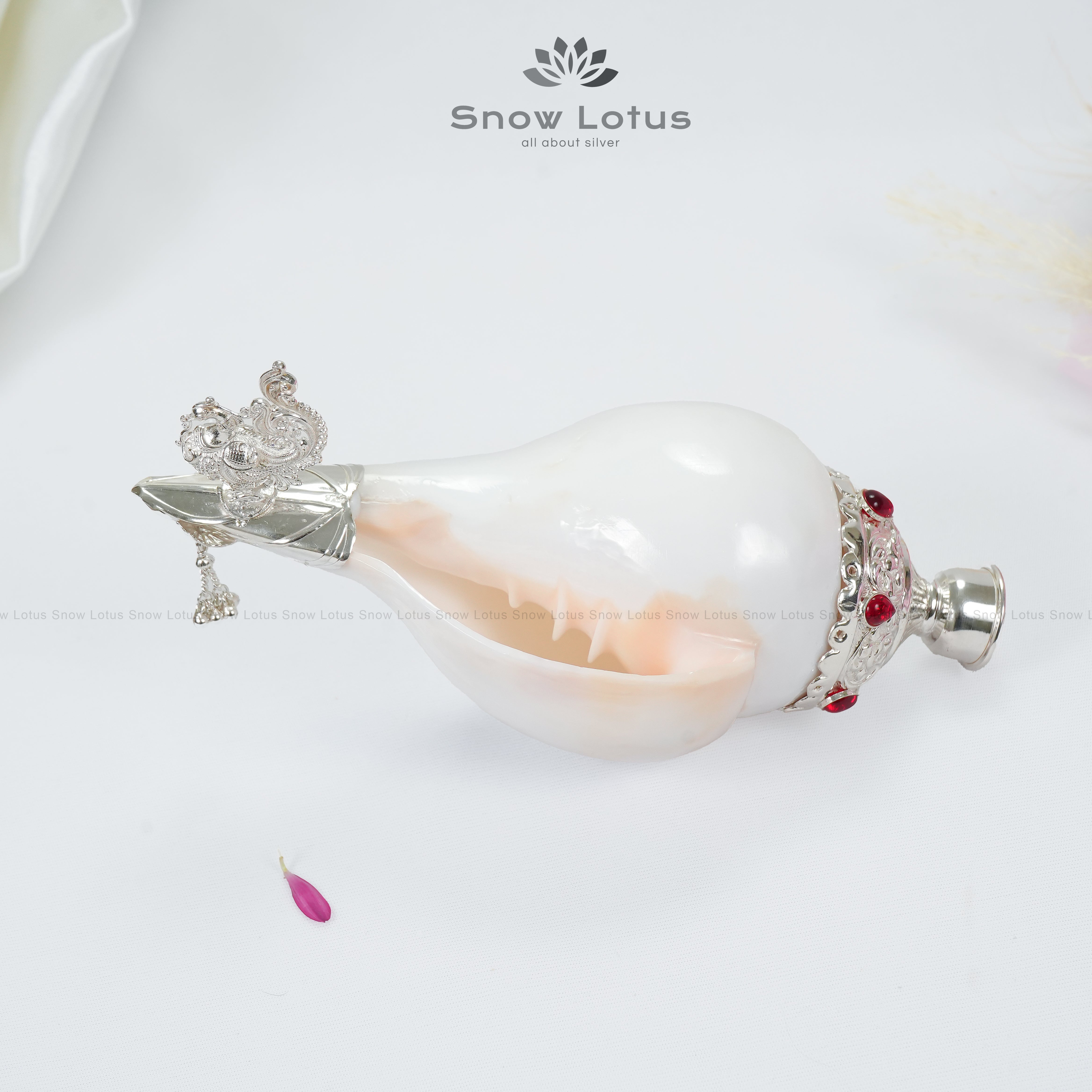 Shanq/conch Peacock