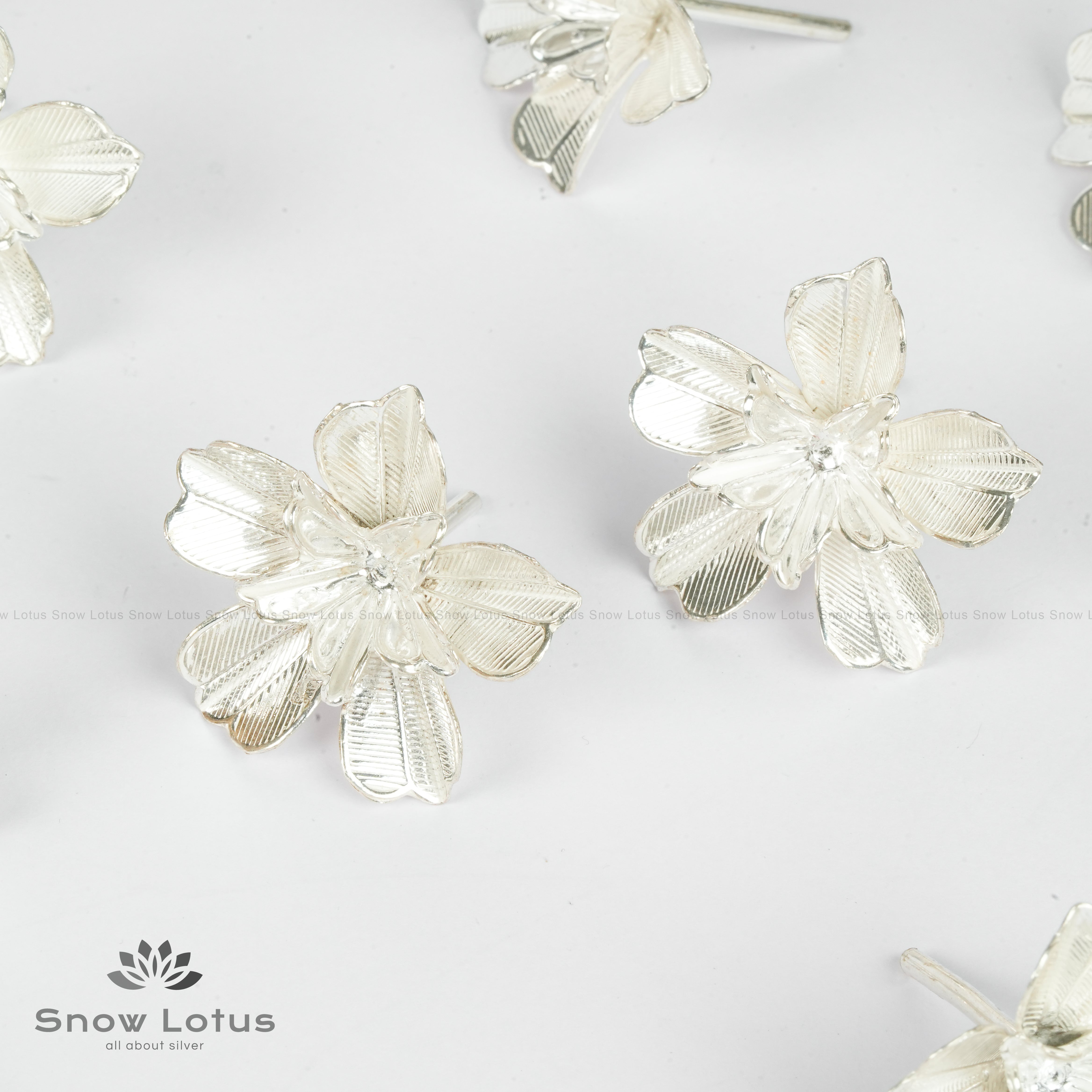 Silver Petal Hibiscus