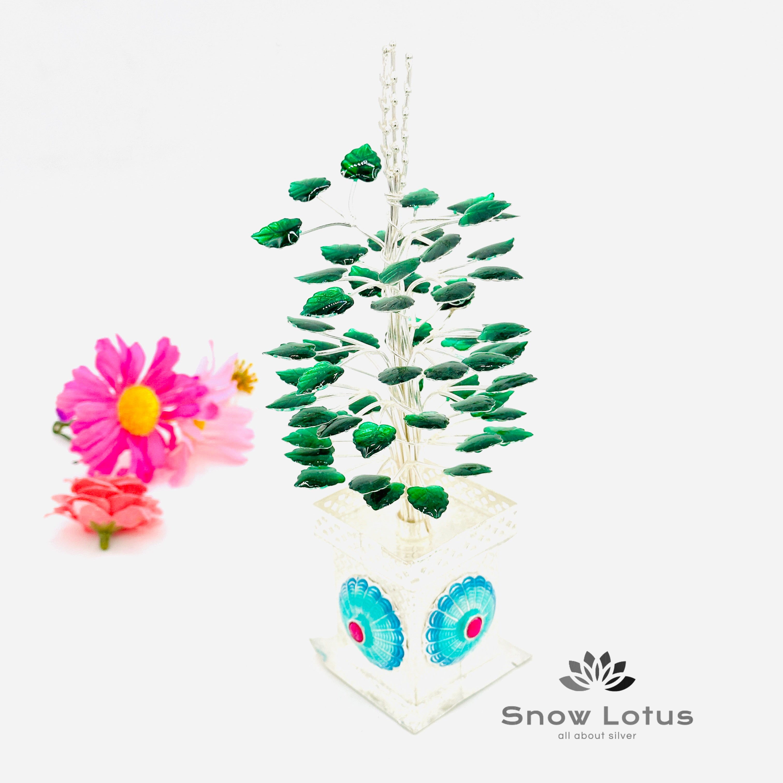 Tulasi Kota with Plant 92.5