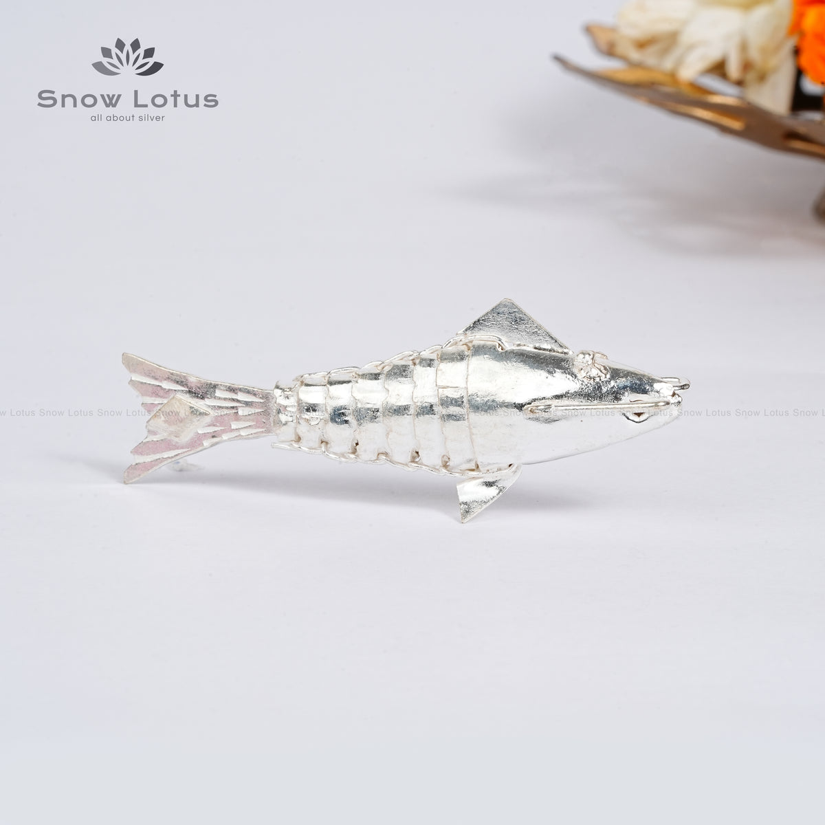 Silver Fish
