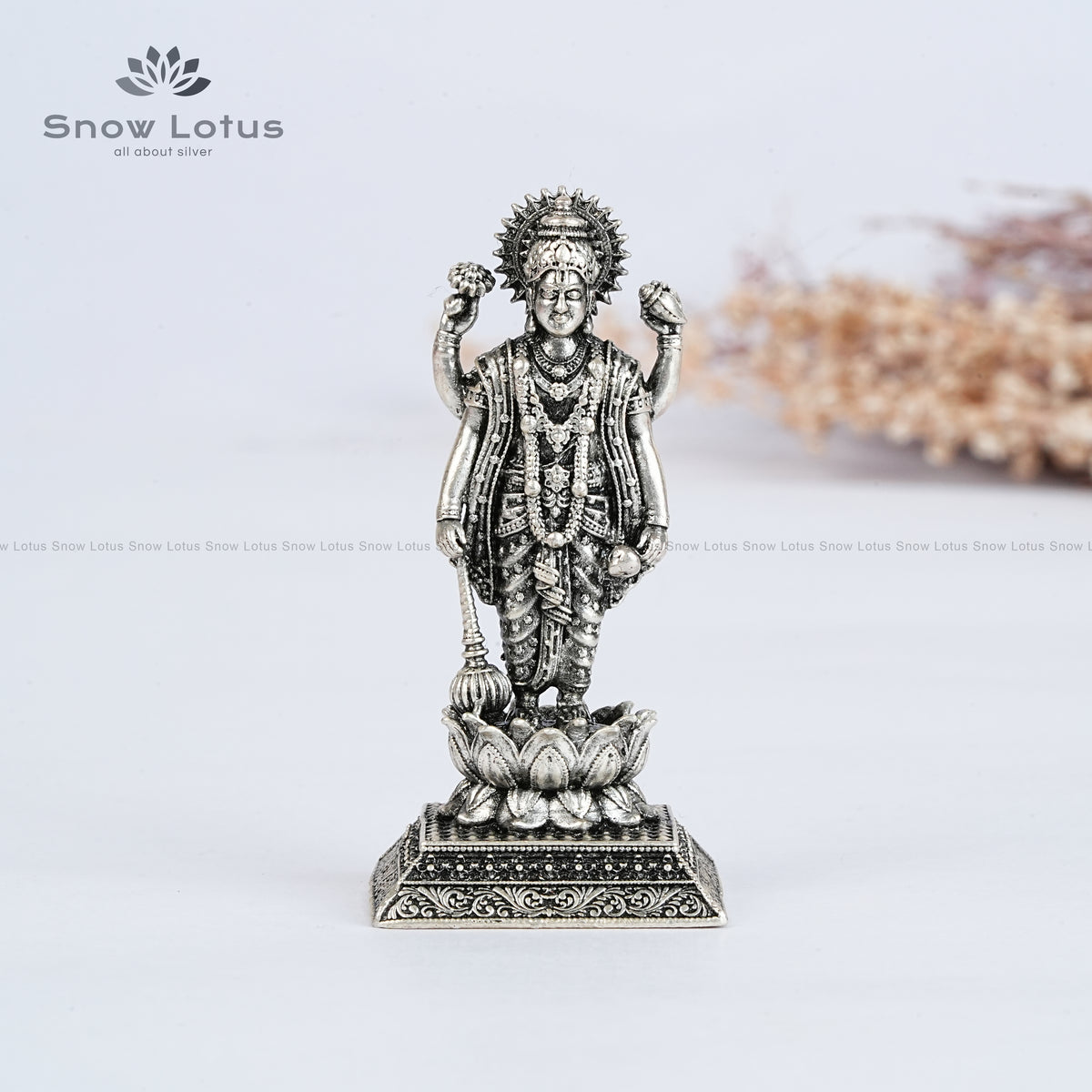 Standing VishnuMurthy/Satyanarayana Swamy
