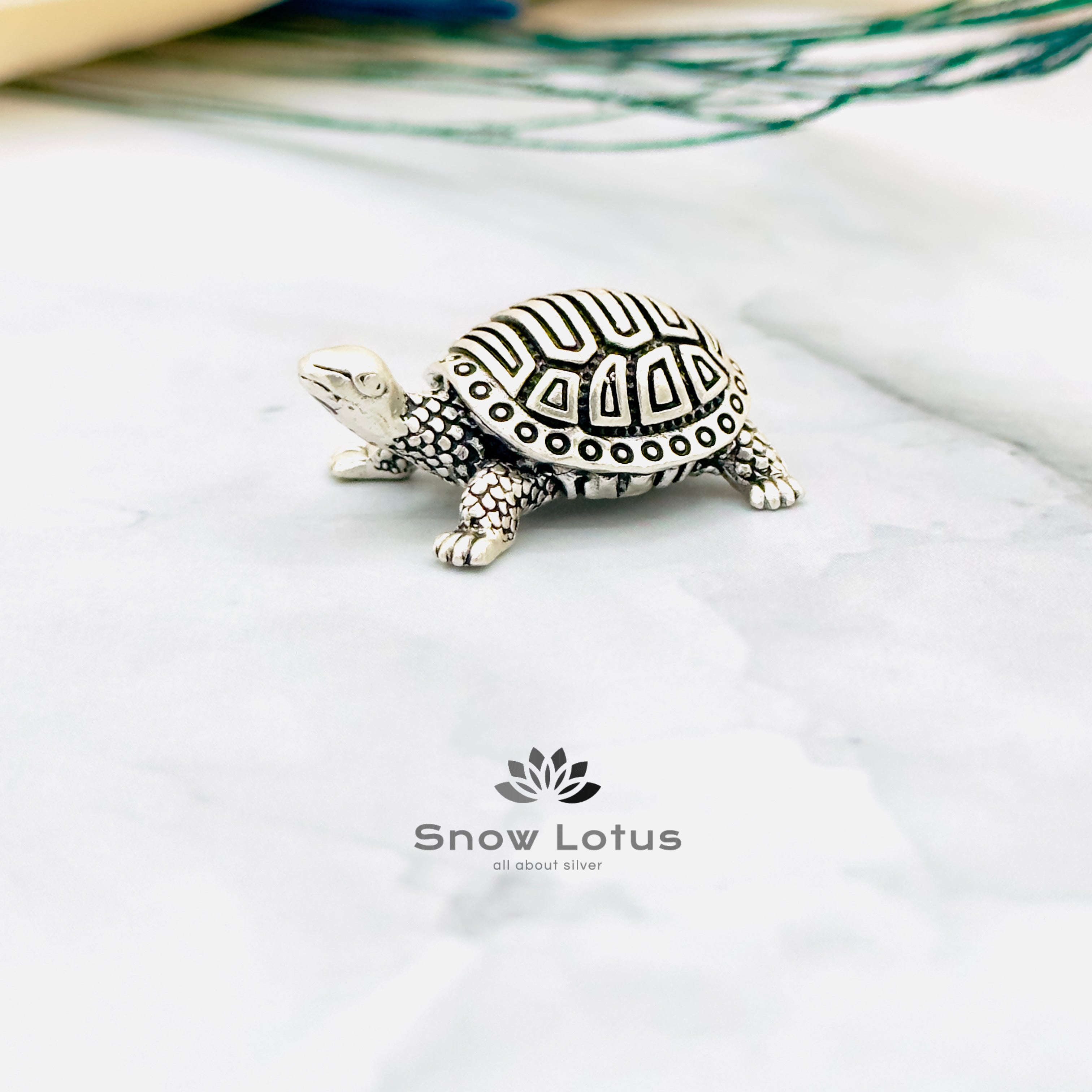 Antique Turtles single 3D