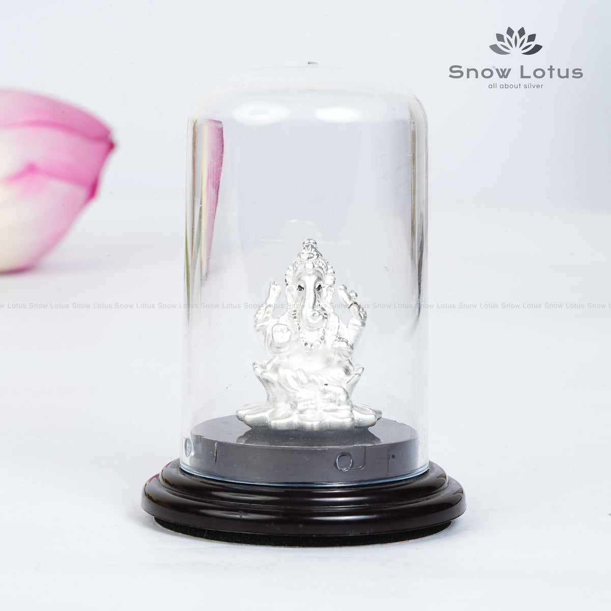 Dome Idols 999 Ganesh M2