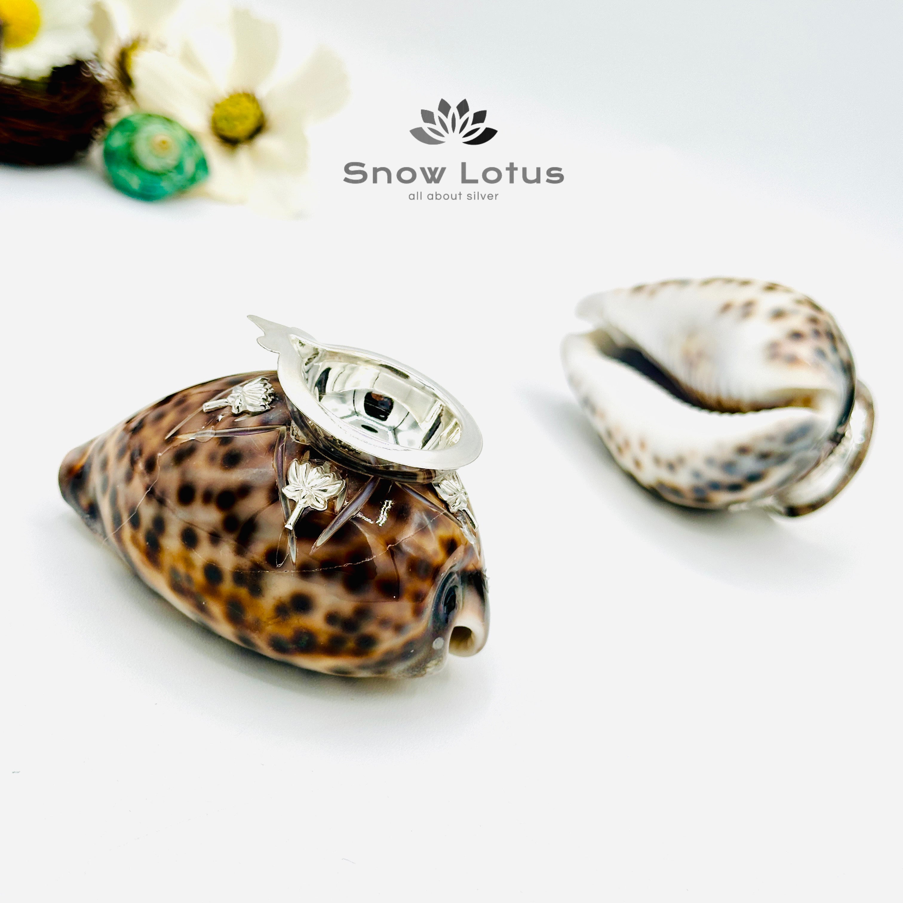 Gavvalu(Shell) Kubera Lakshmi Lamp pair Single Wick