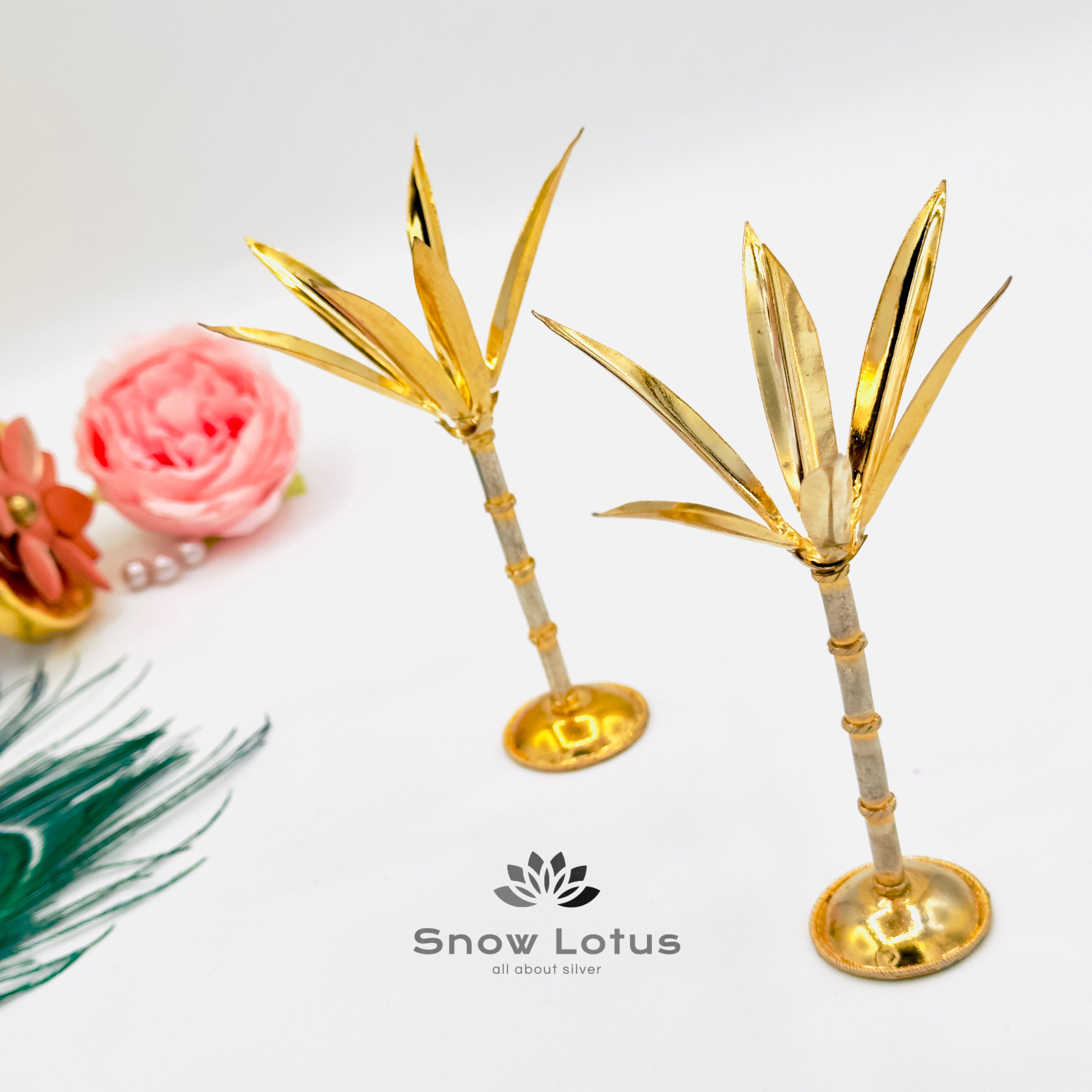 Sugar cane single Stem