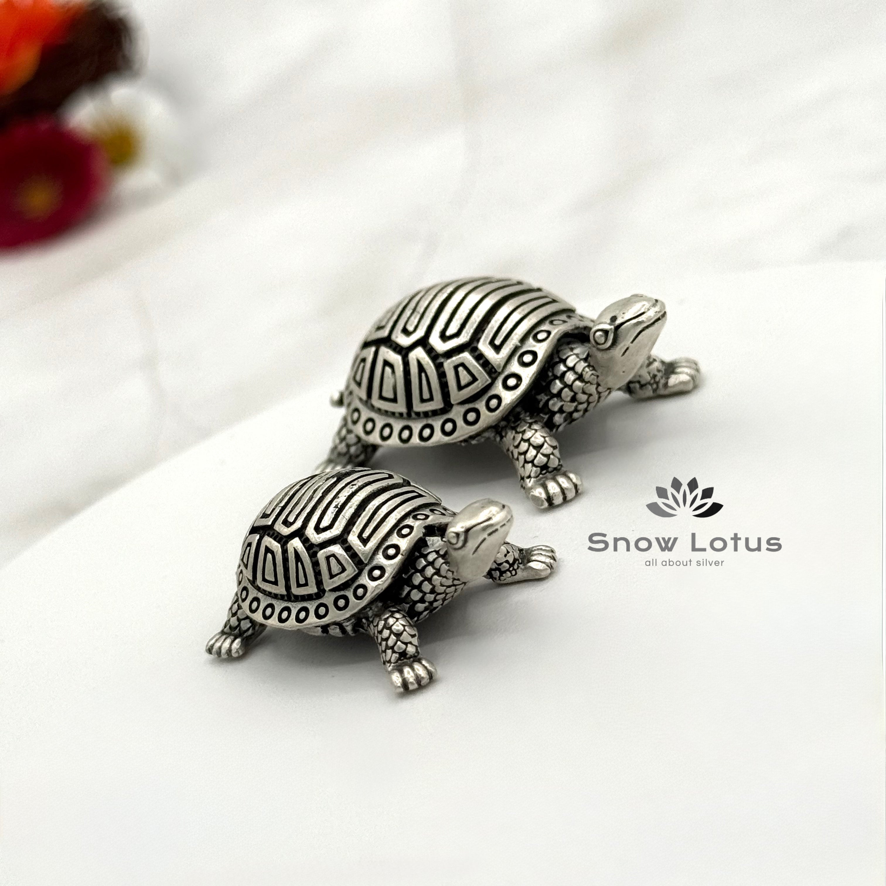Turtles 3D