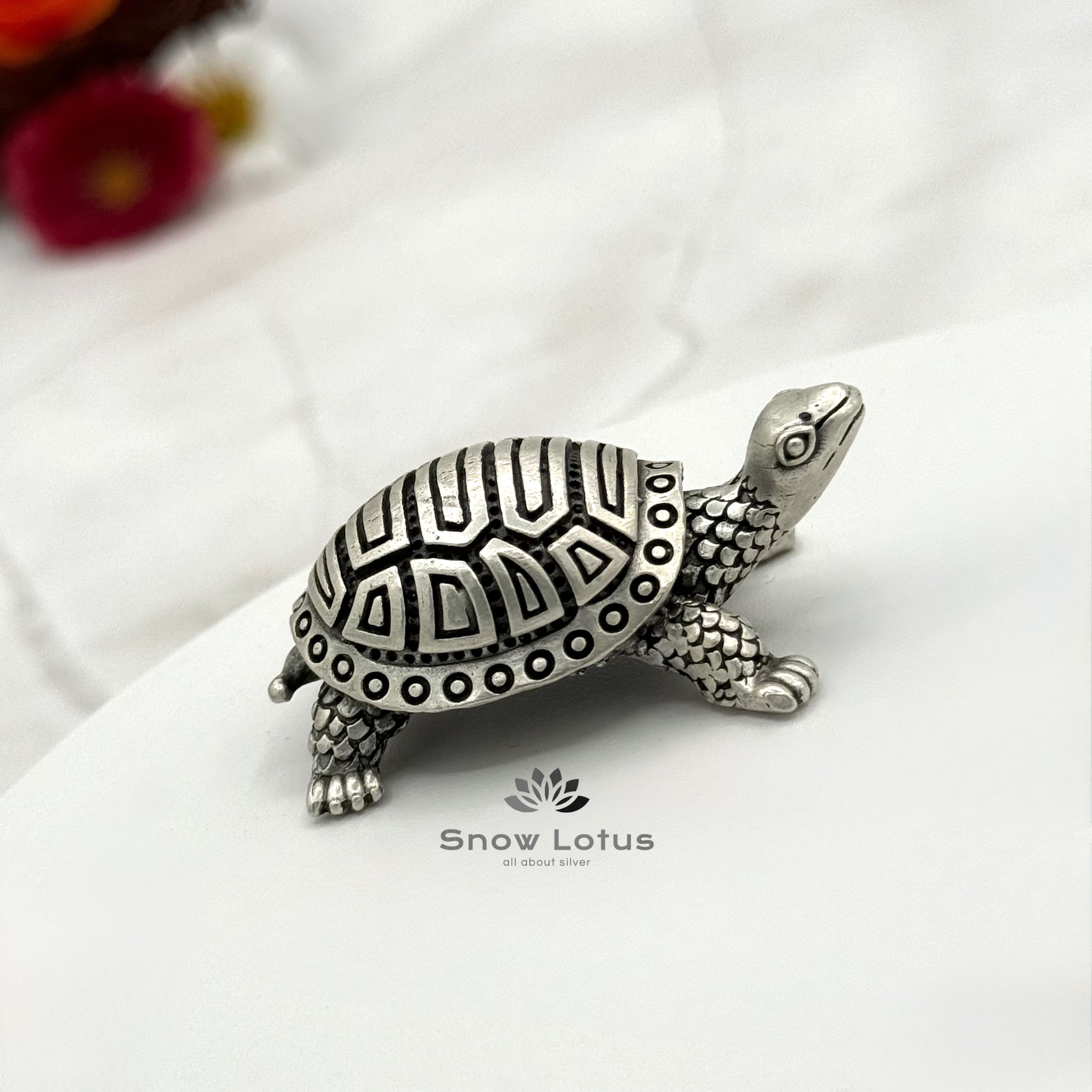 Turtles 3D