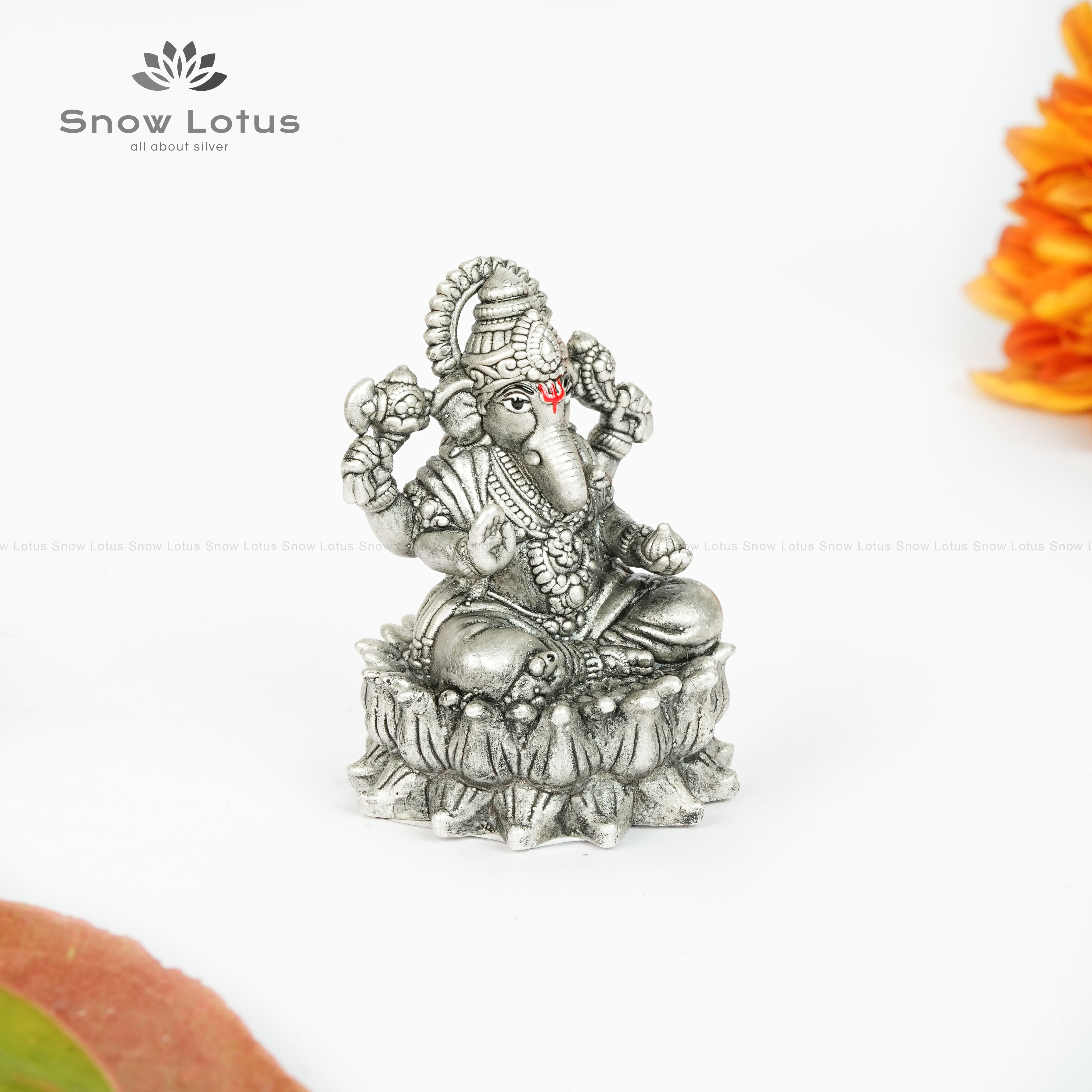 EF Lotus Ganesh