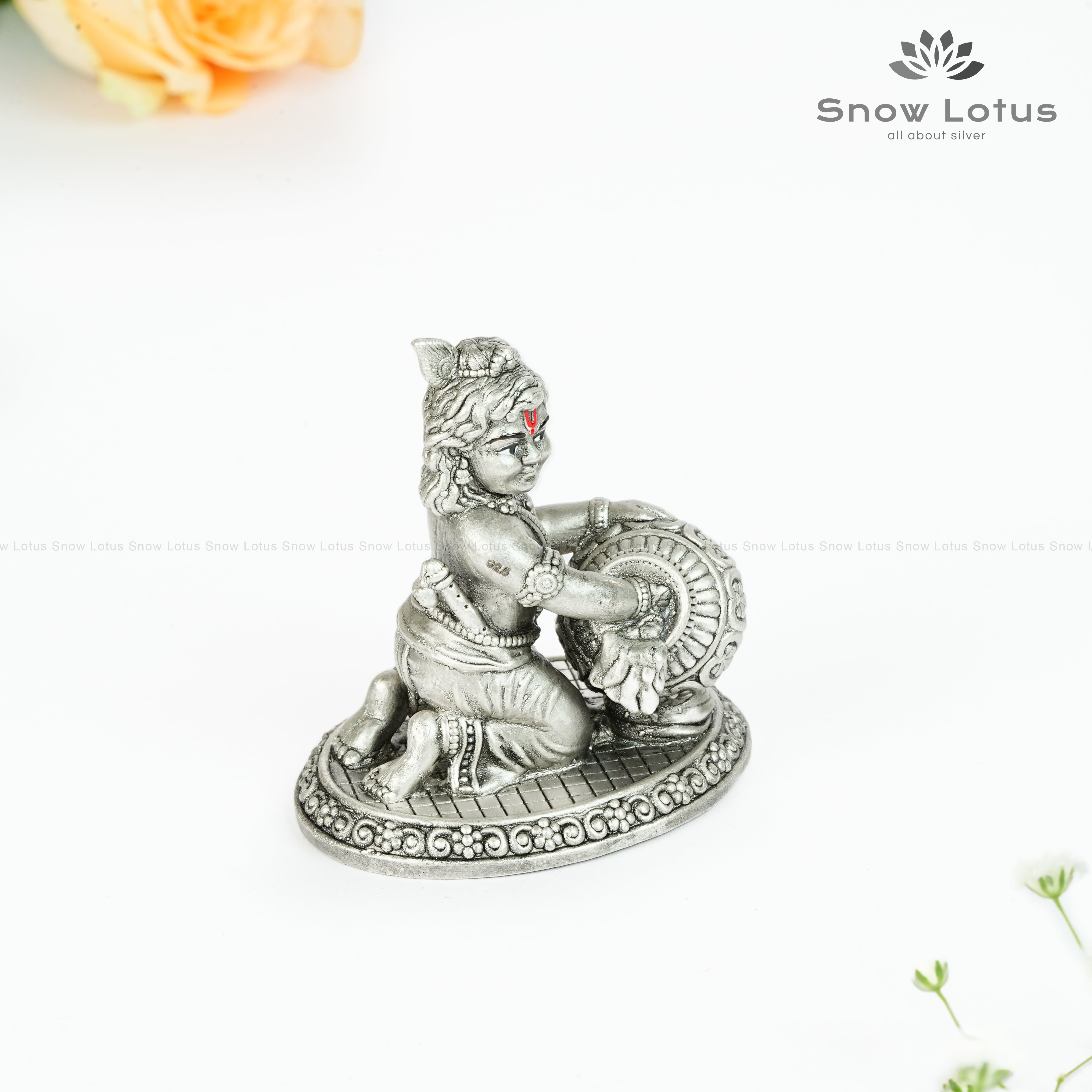 EF Venna Krishna