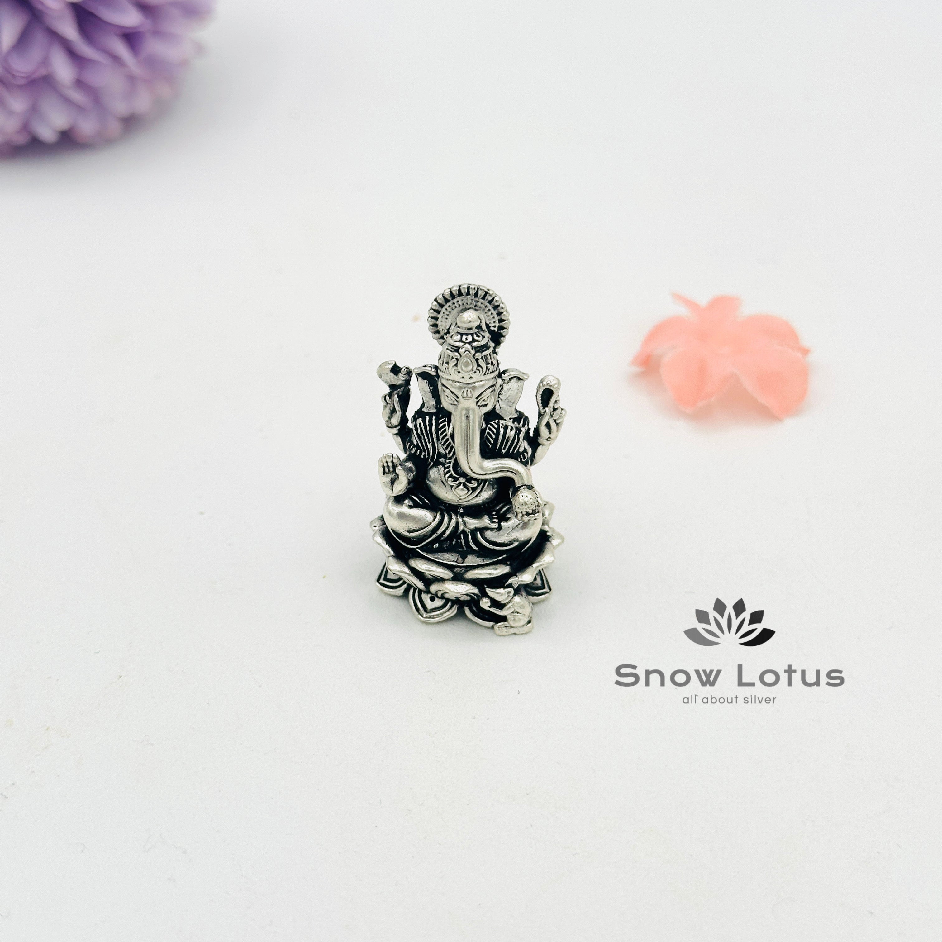 Antique Ganesh 3D Hallow M1