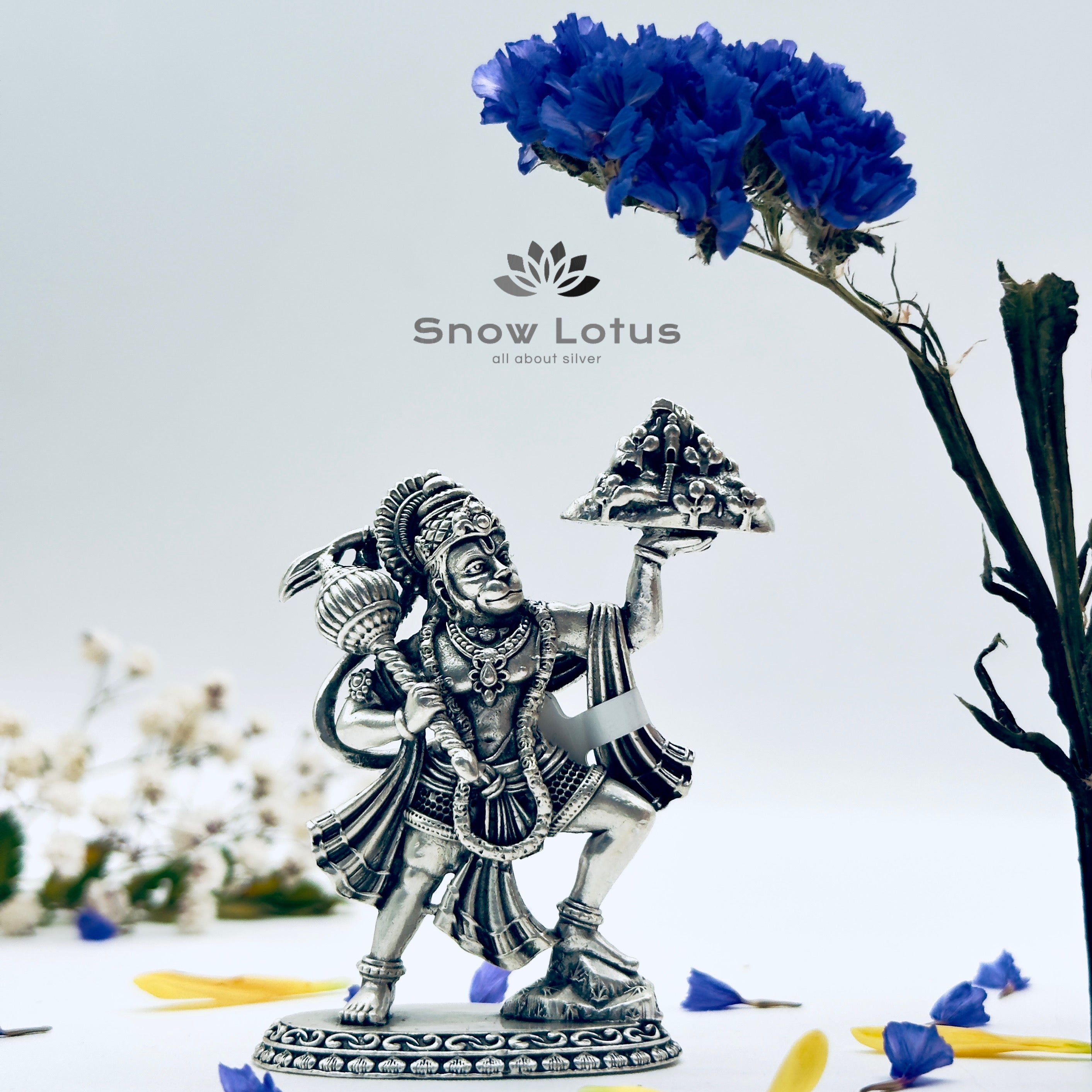 Antique Sanjeevani Hanuman 3D