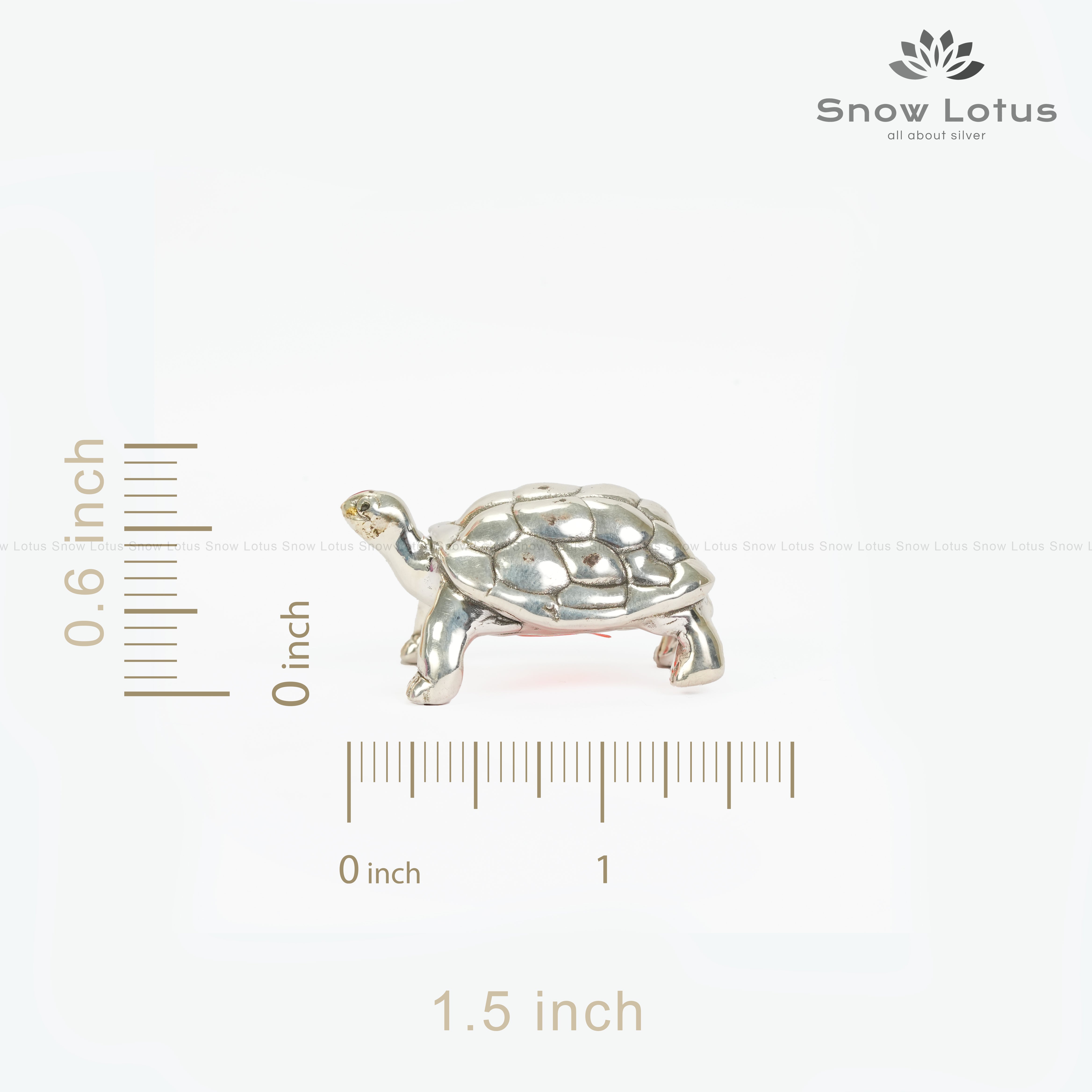 999 Turtle M2