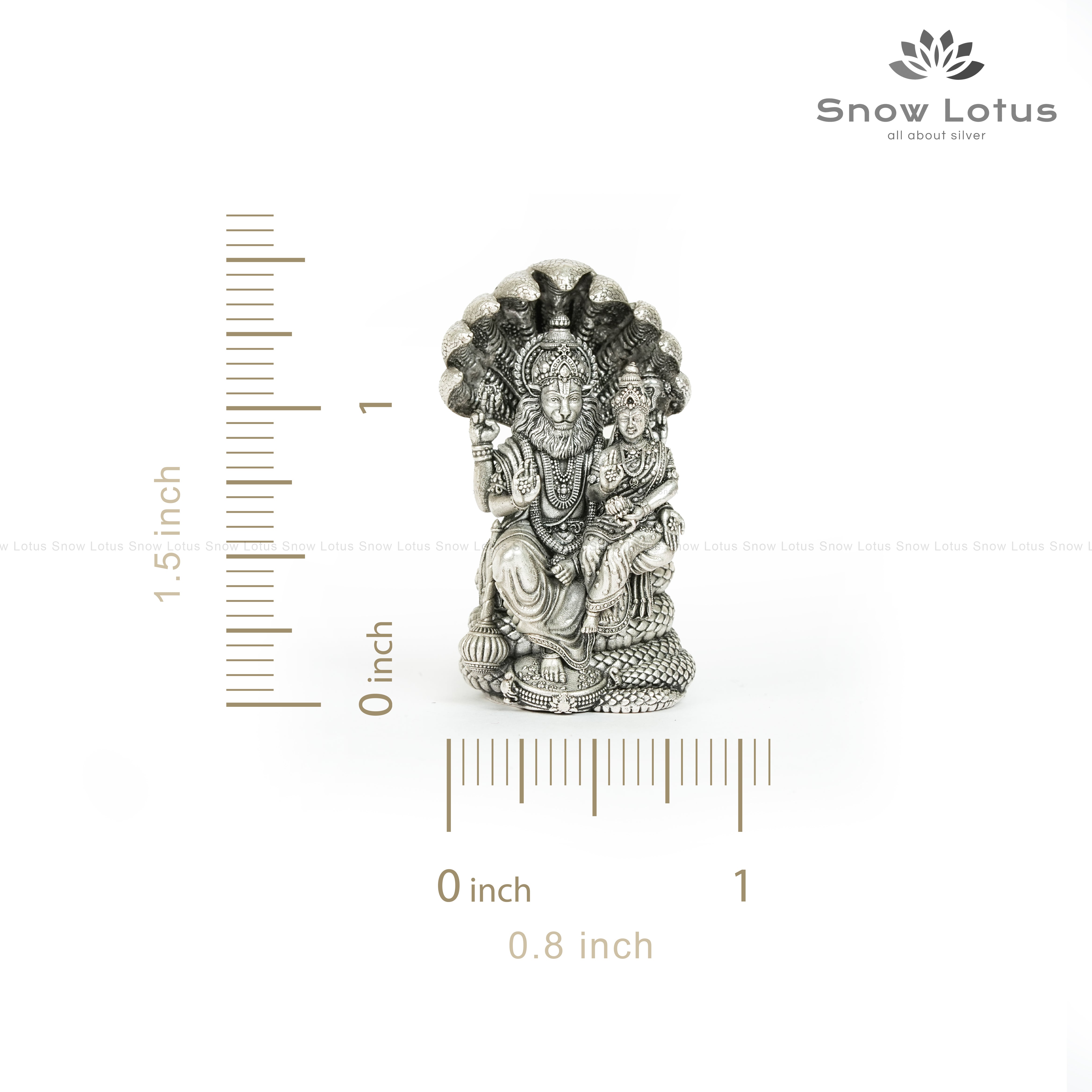 PC Padaga Narasimha Swamy