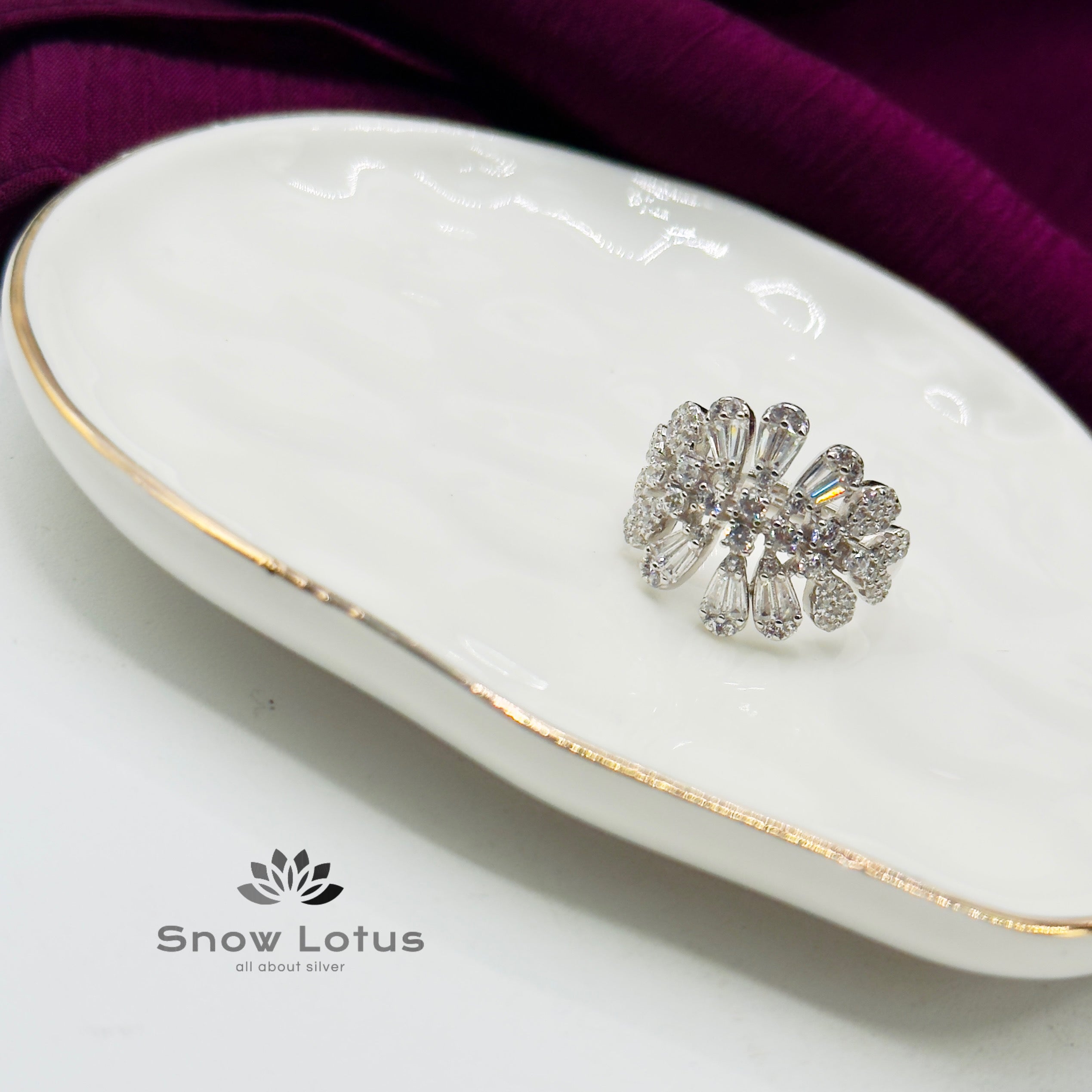 Celestial Radiance Red Neckpiece With Earrings