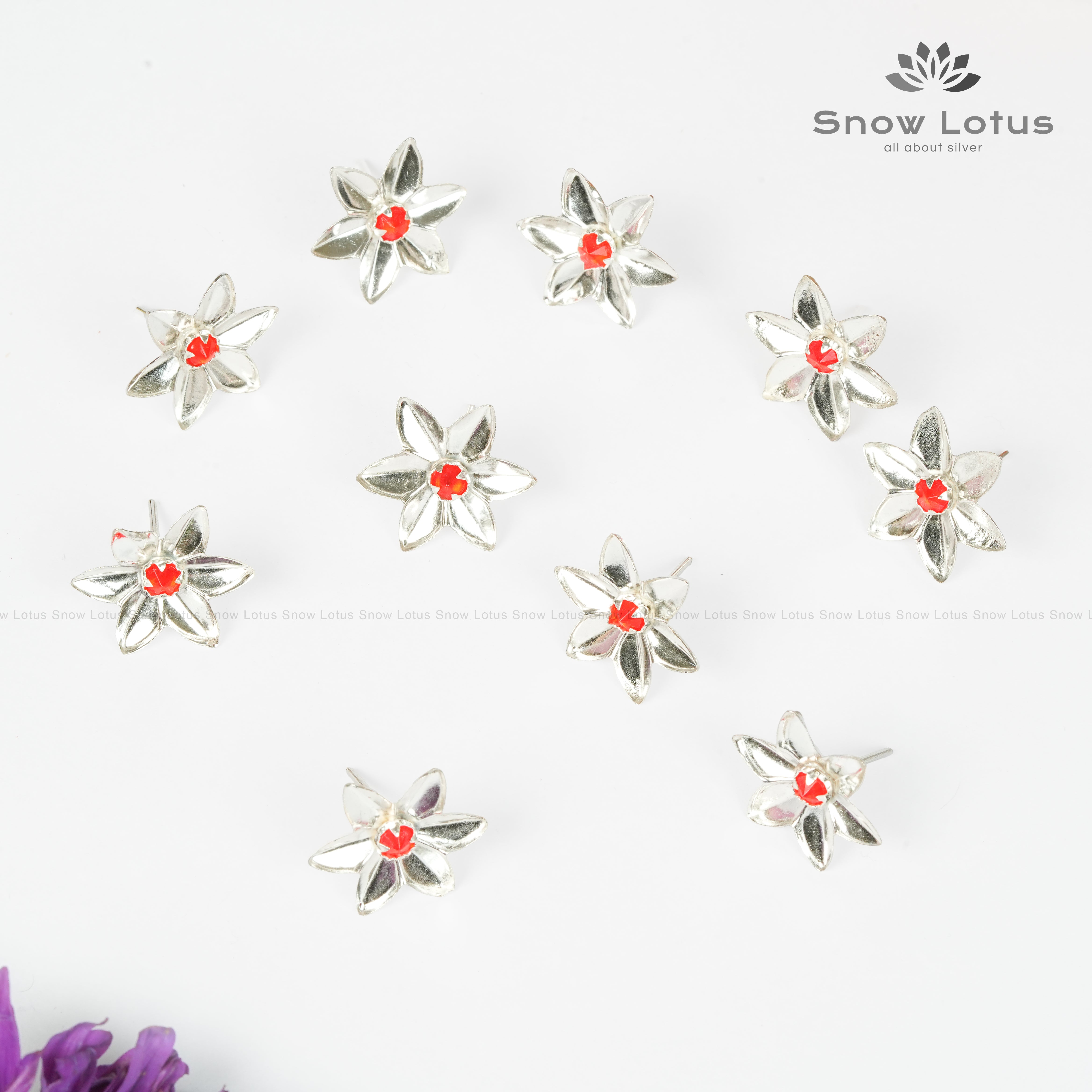 Parijatham Flowers Set of 10