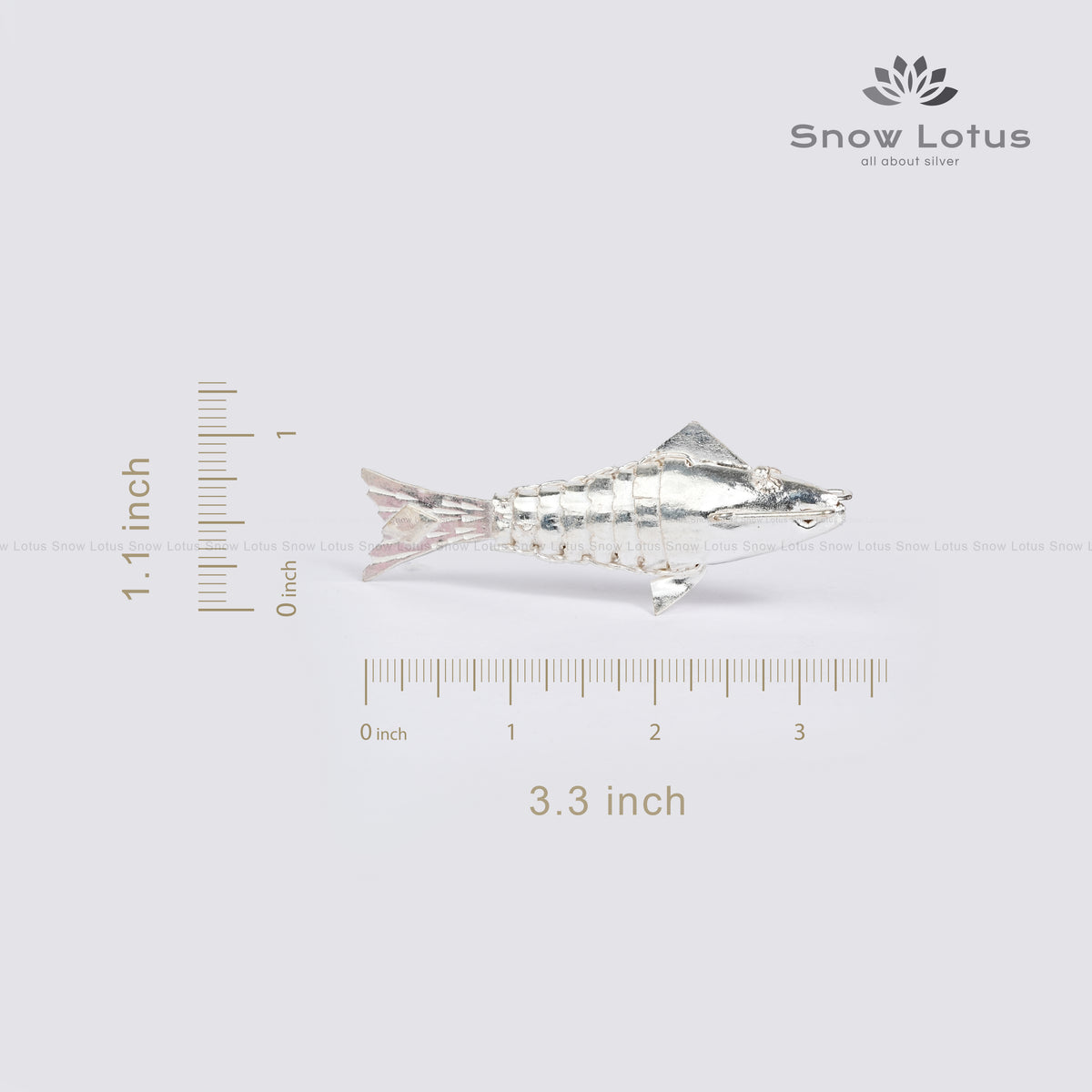 Silver Fish