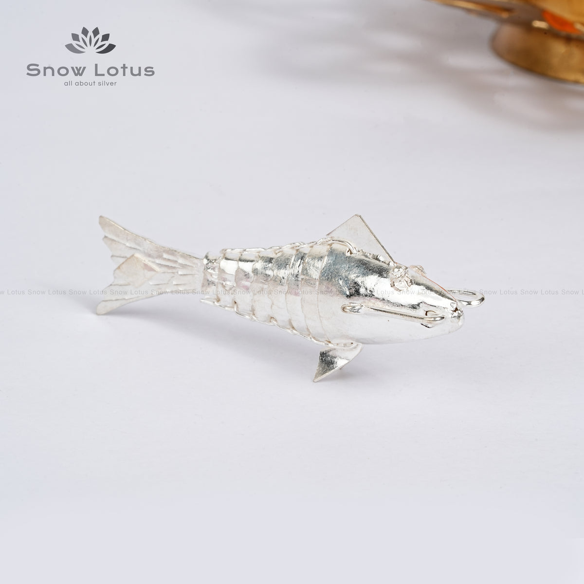 Silver Fish