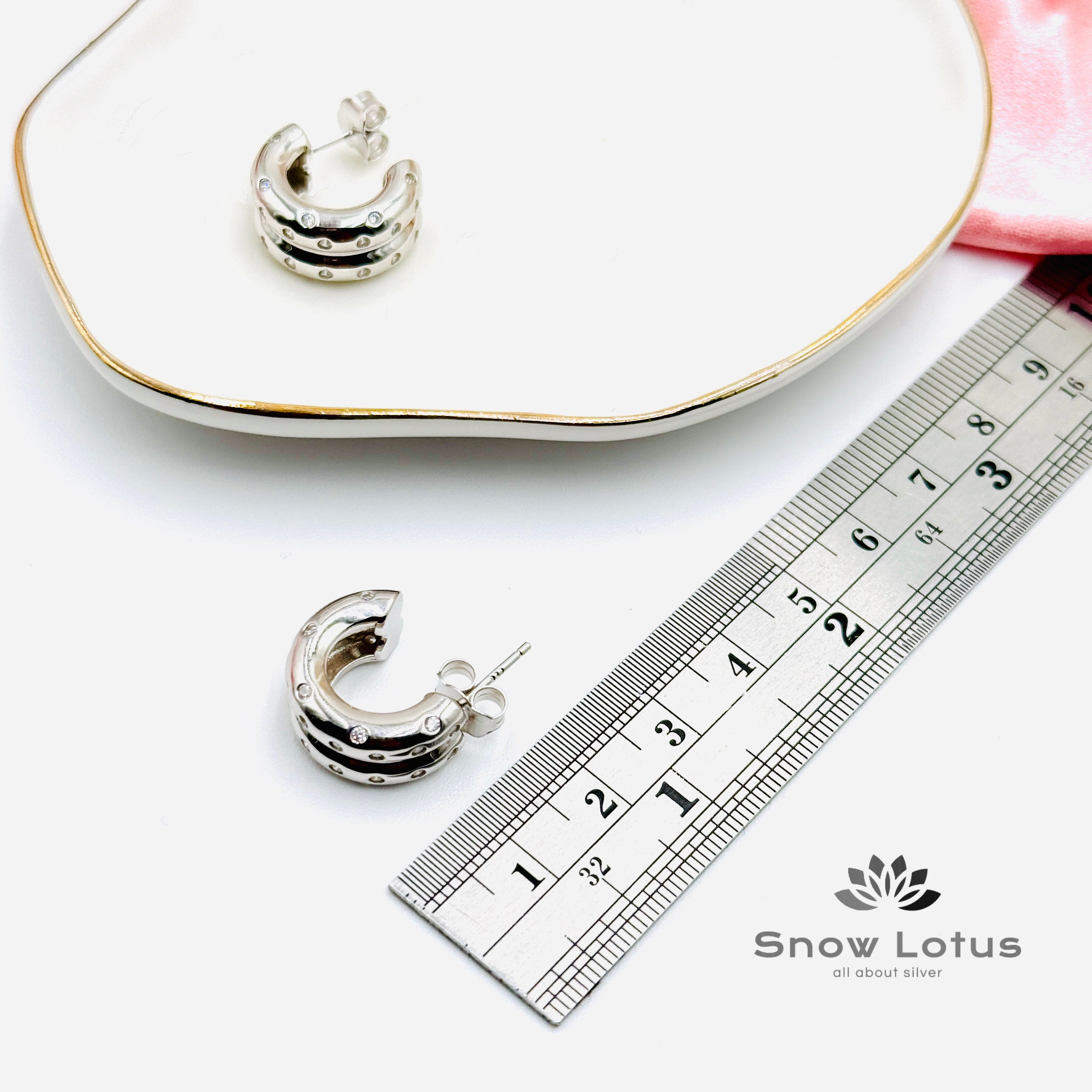 Sparkling Earrings