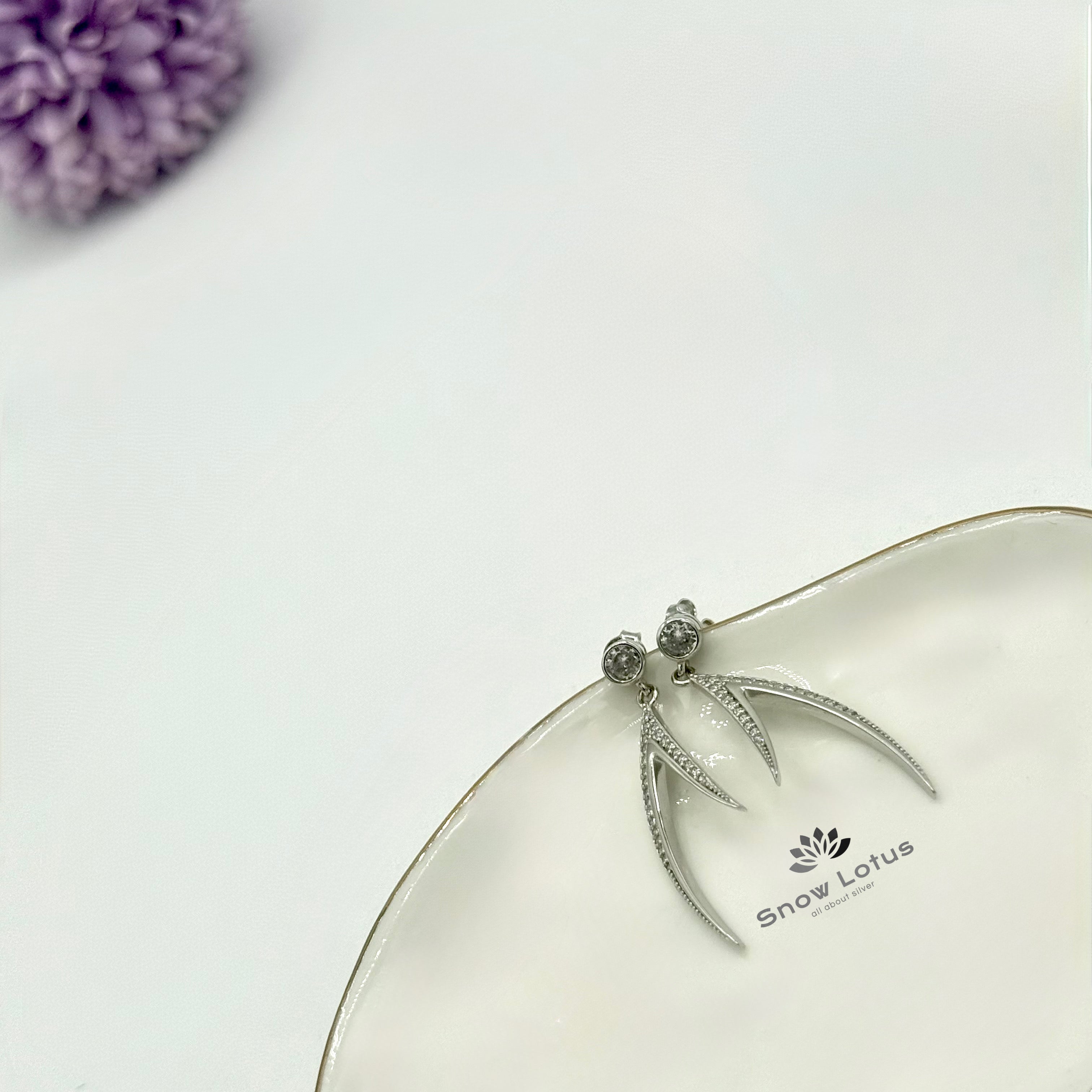 Stylish Earrings M5