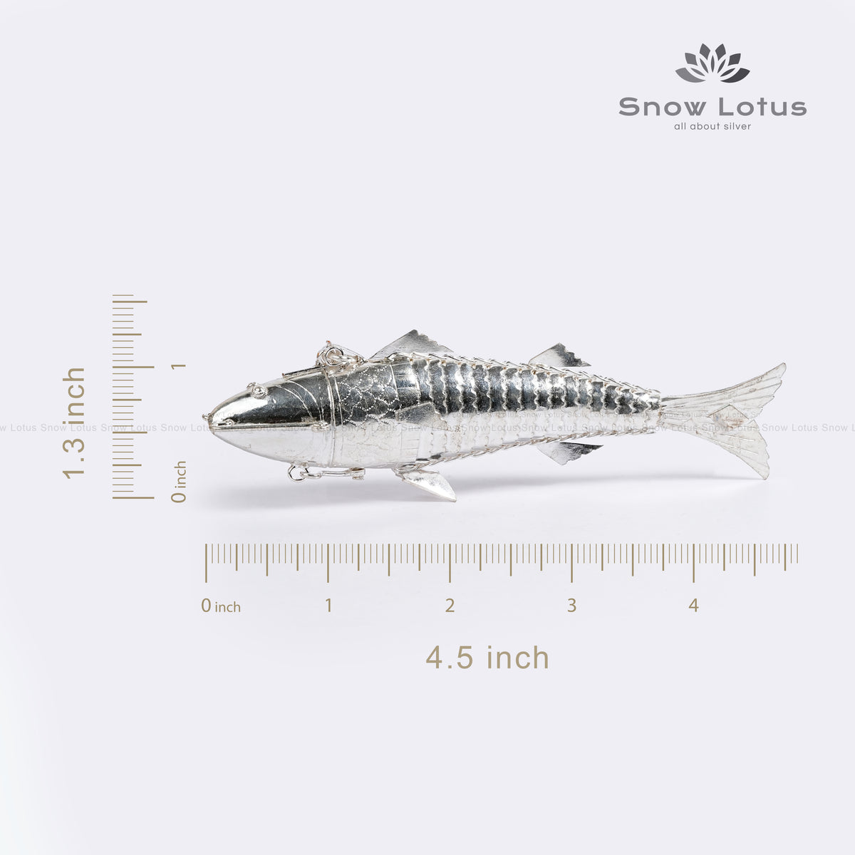 Silver Fish