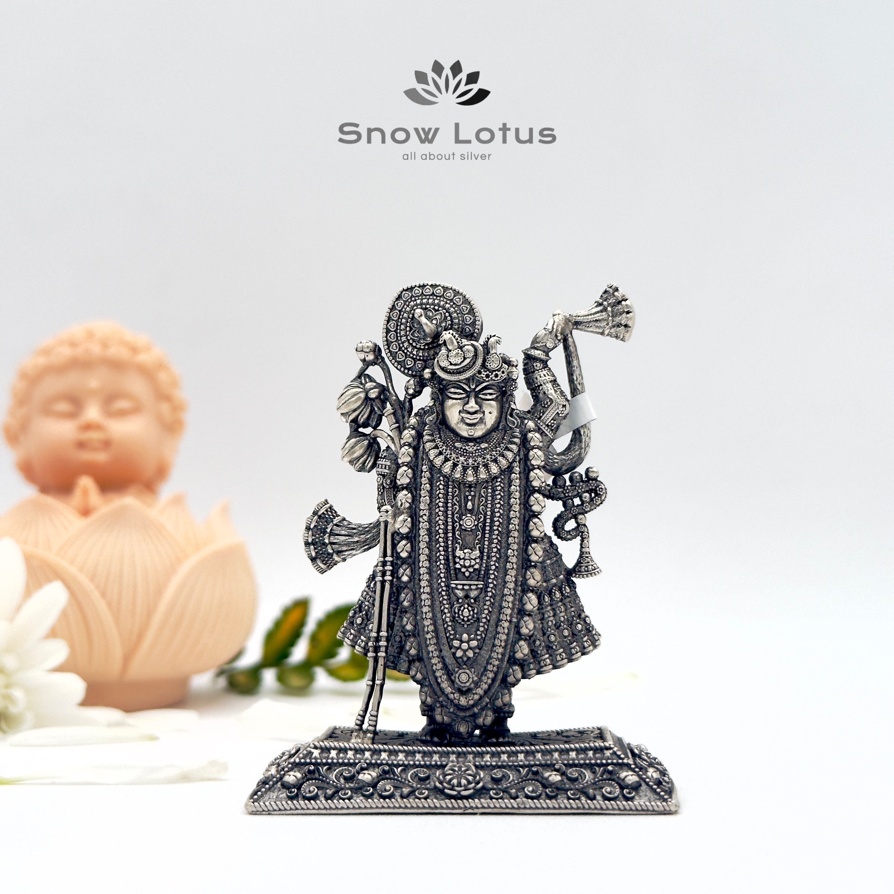 Antique Shreenathji 3D