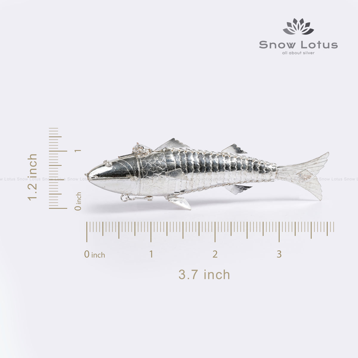Silver Fish