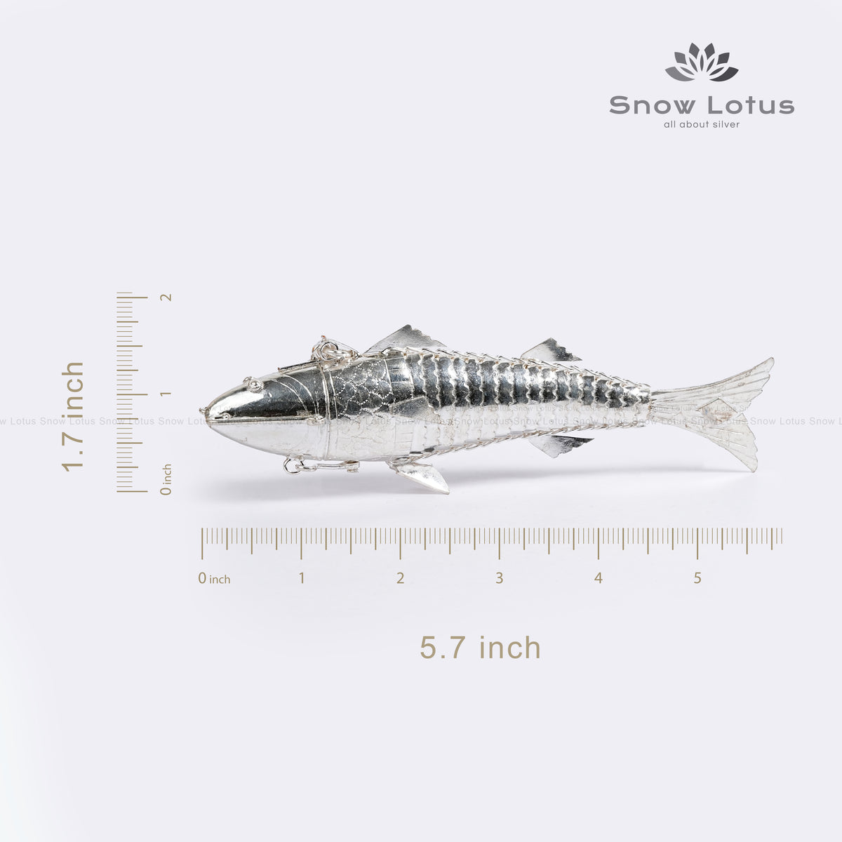 Silver Fish