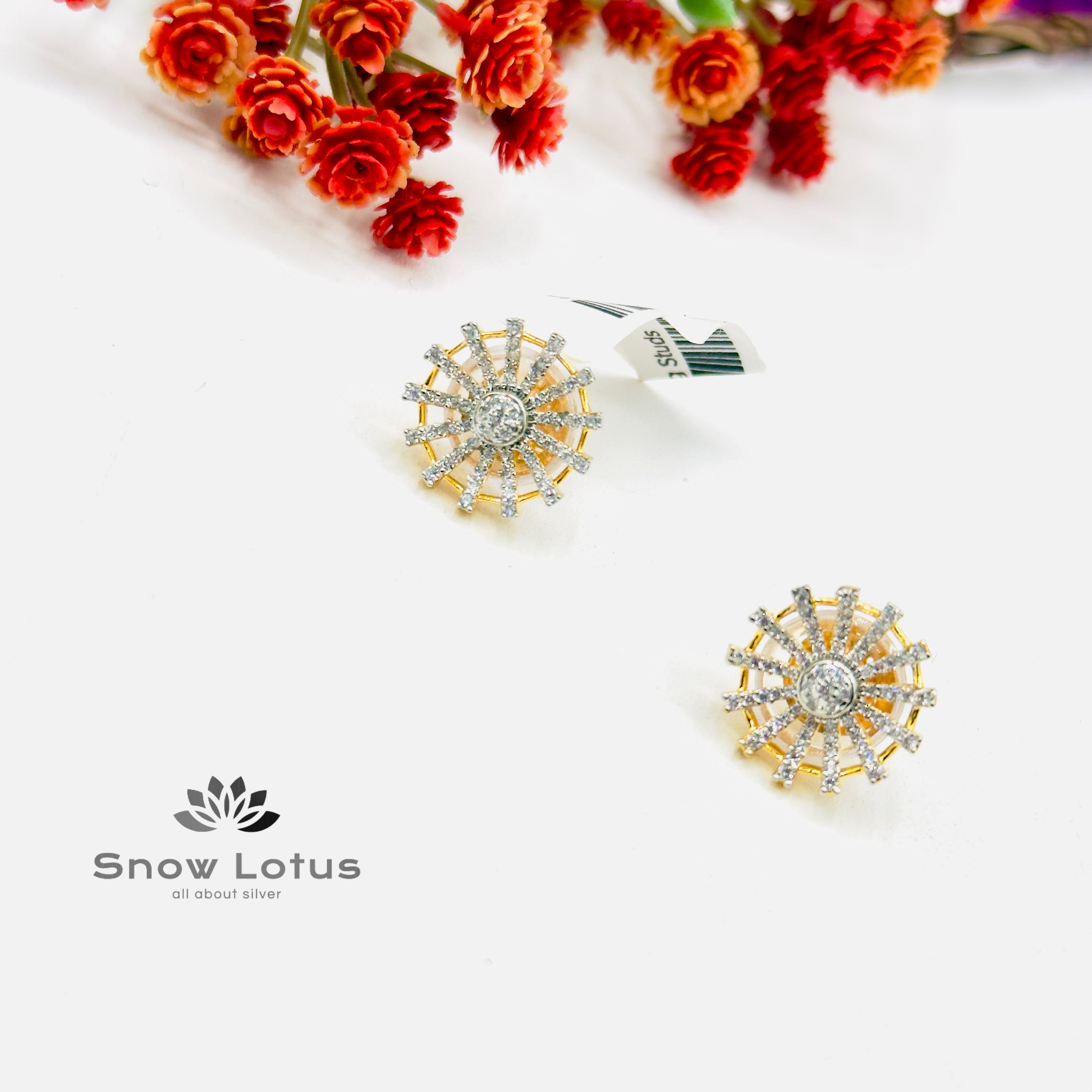Stunning Sparkling Studs
