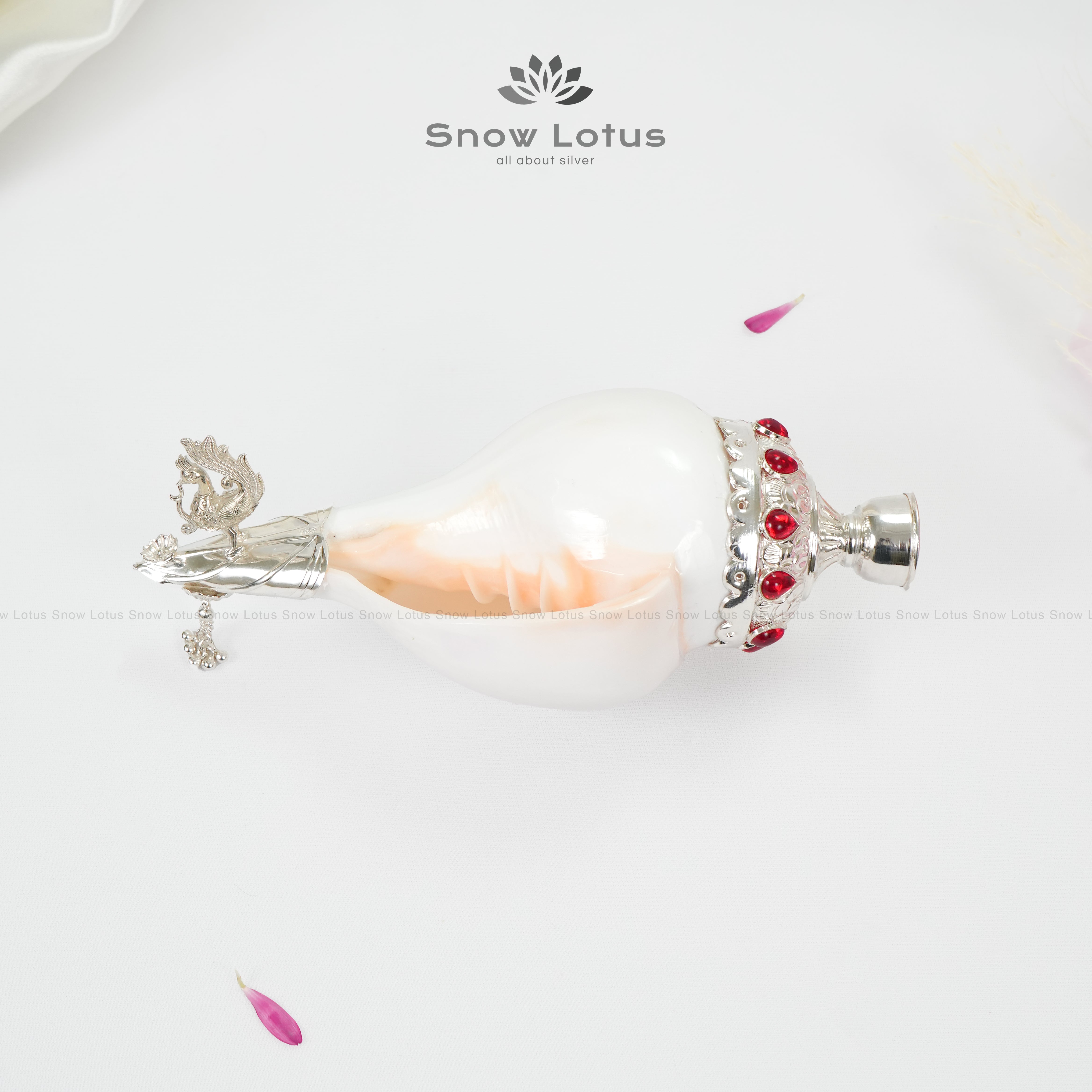 Shanq/conch Peacock