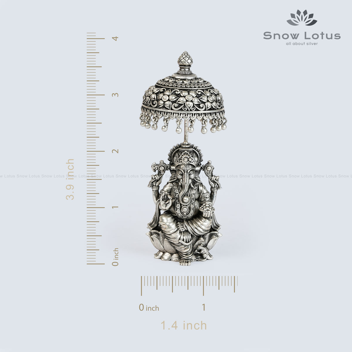 Umbrella Padmam Ganesh