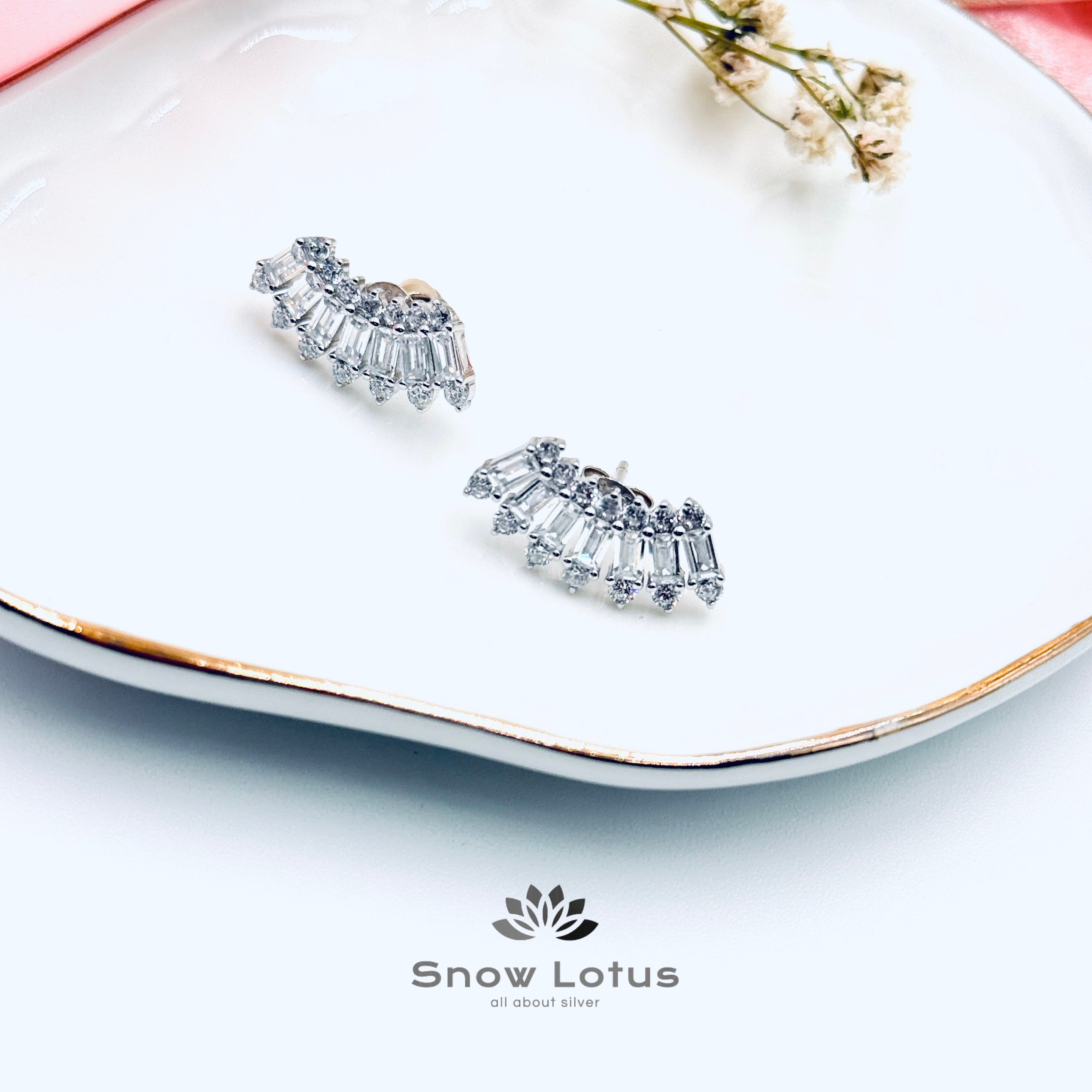 Treading Cubic Zicon Earrings