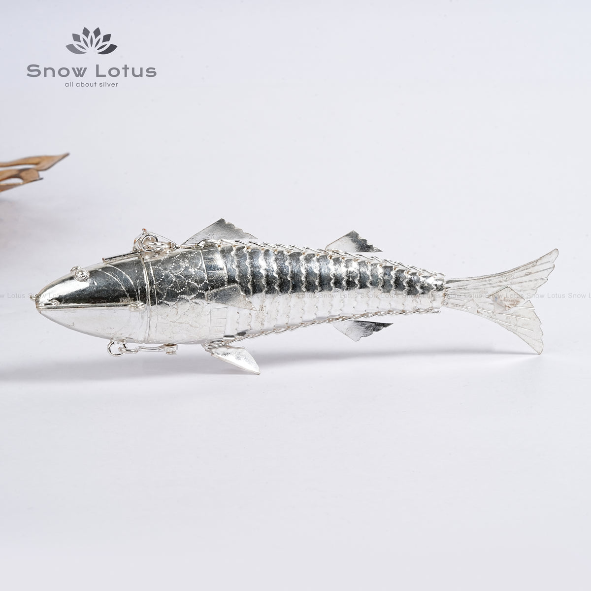 Silver Fish