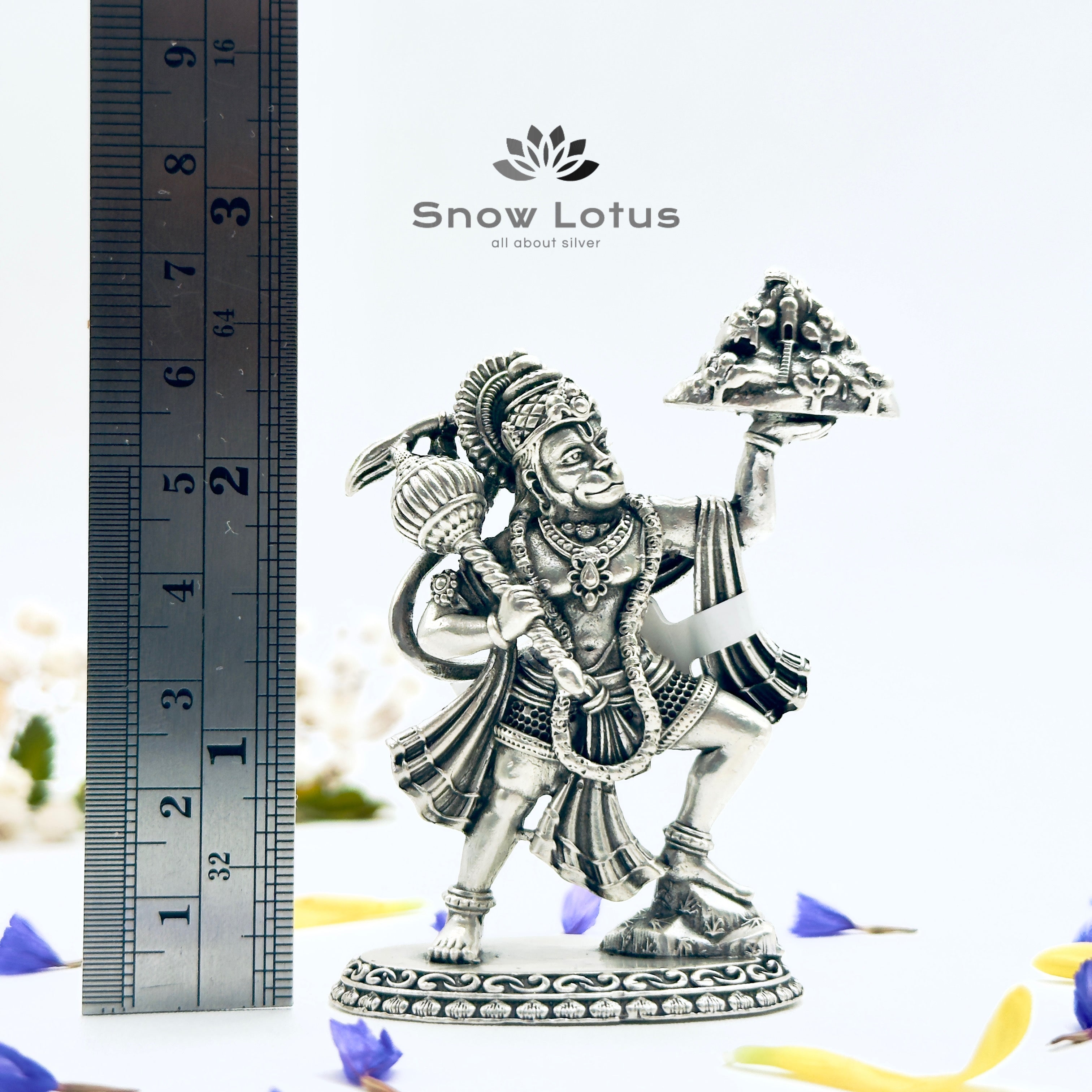 Antique Sanjeevani Hanuman 3D