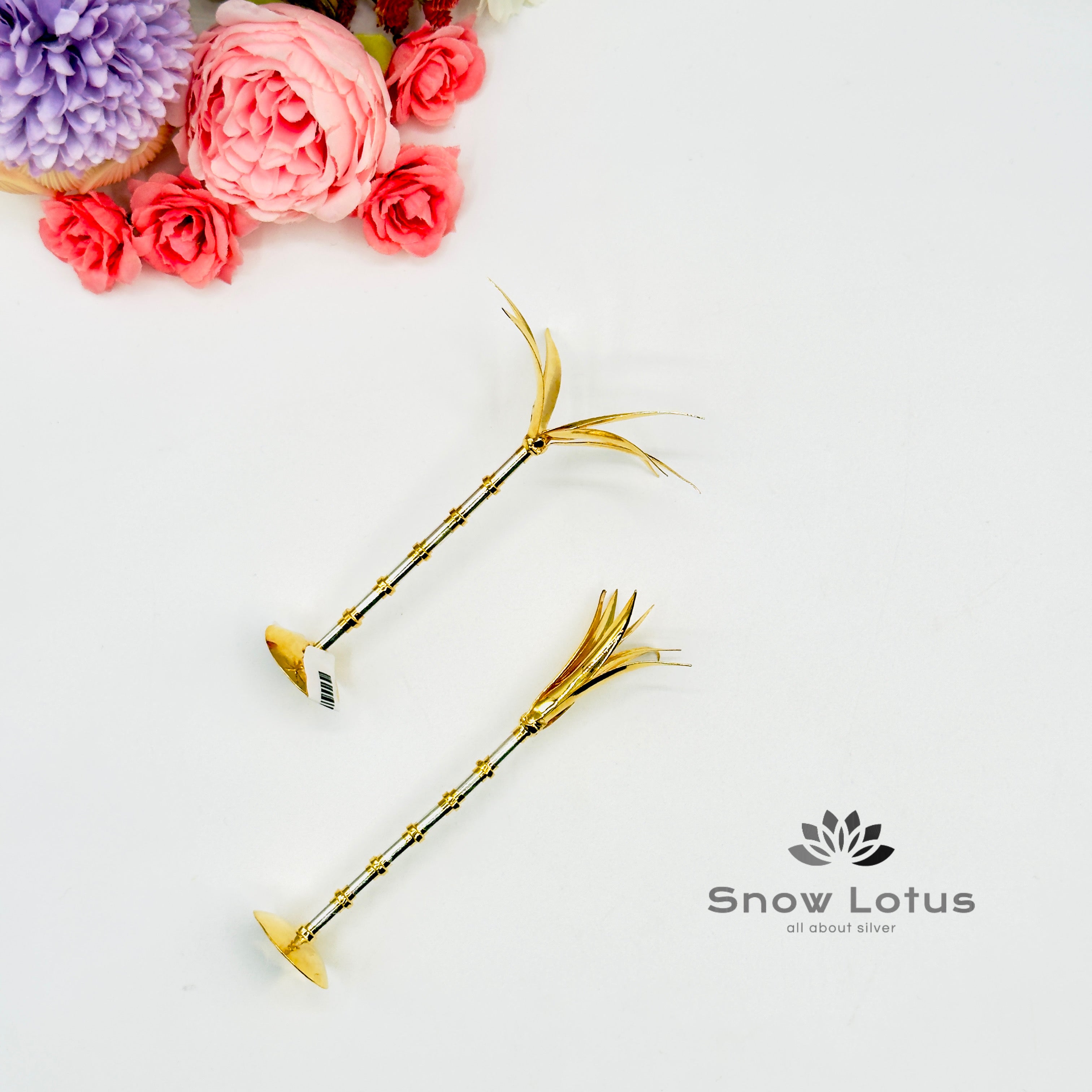 Sugarcane Single stem