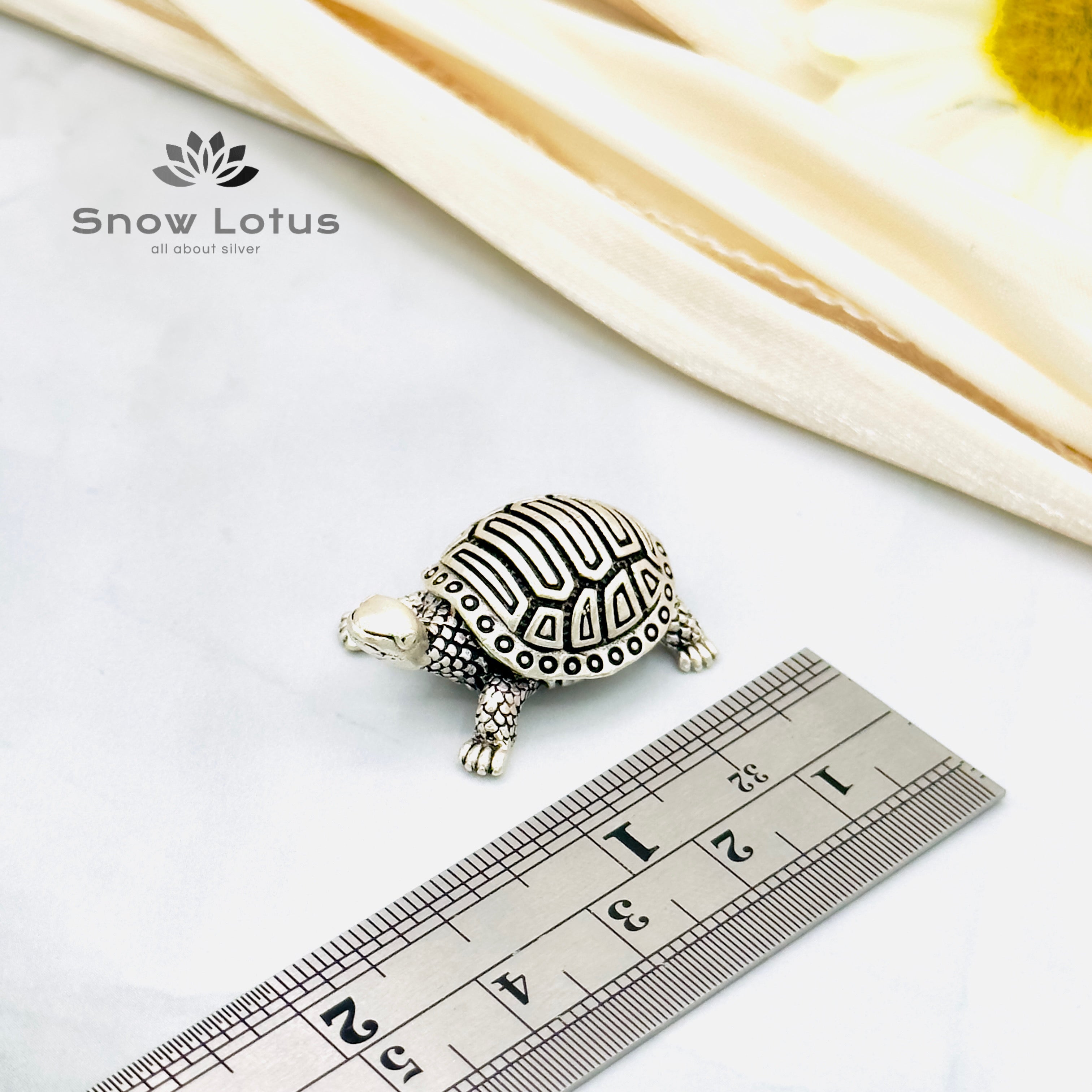 Antique Turtles single 3D