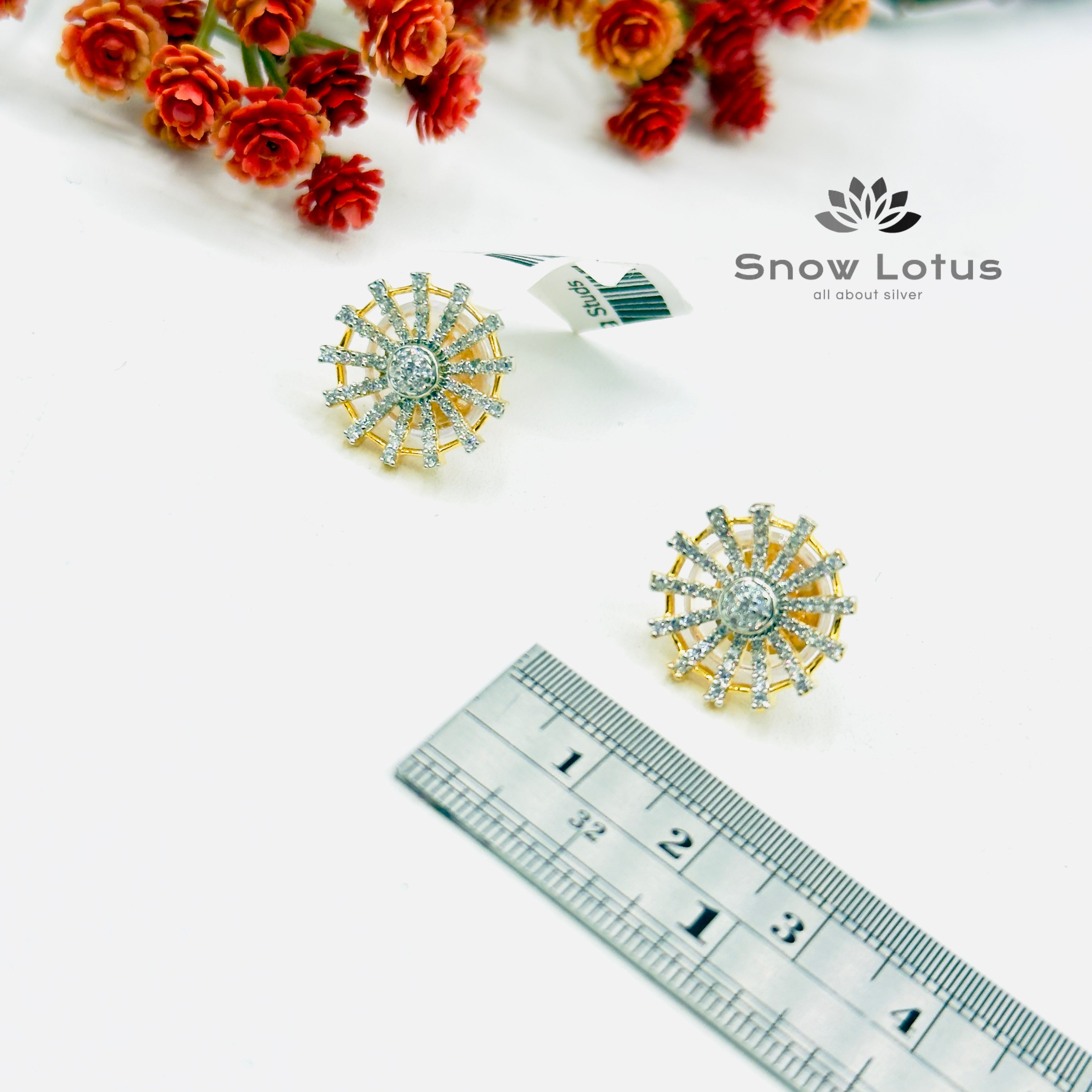 Stunning Sparkling Studs