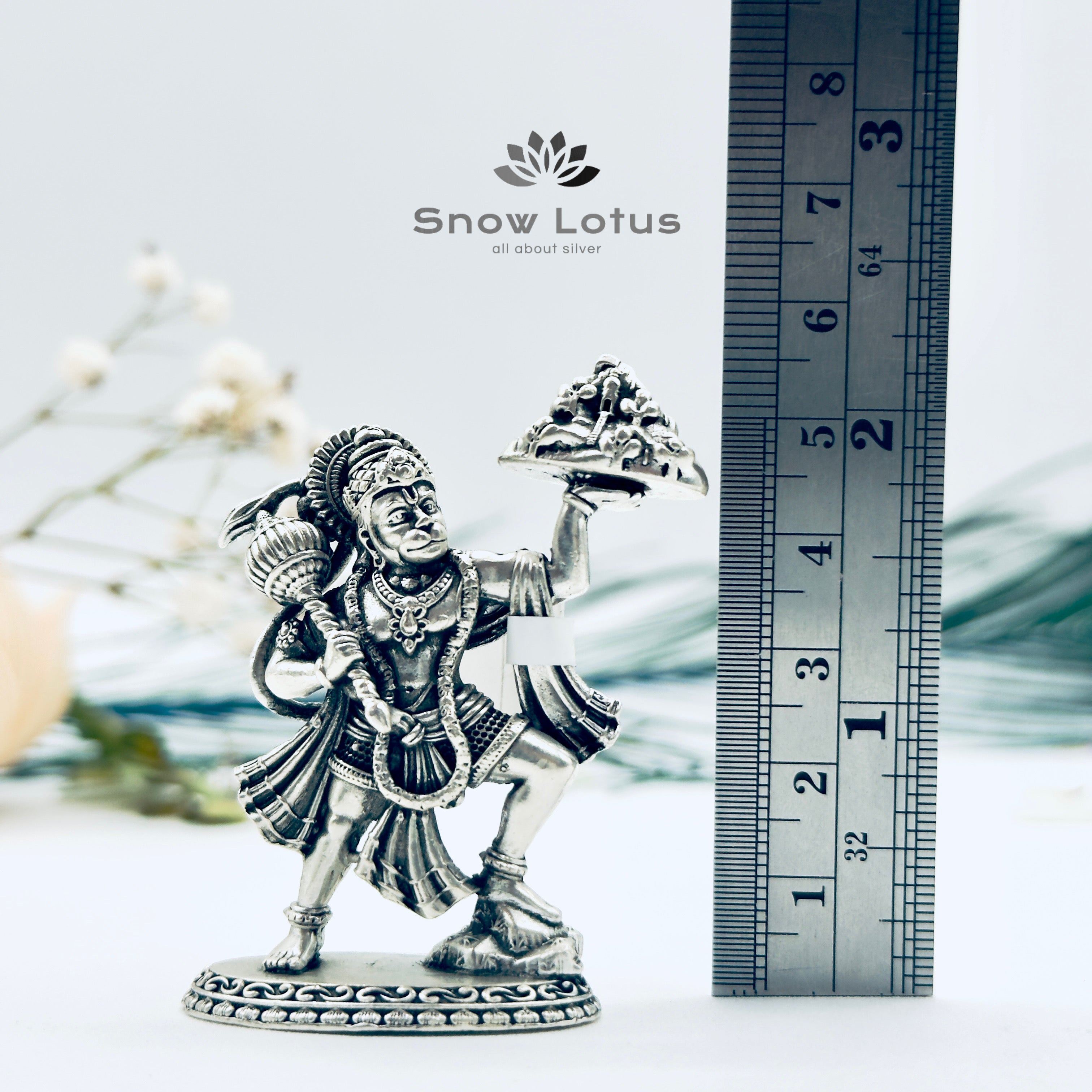 Antique Sanjeevani Hanuman 3D