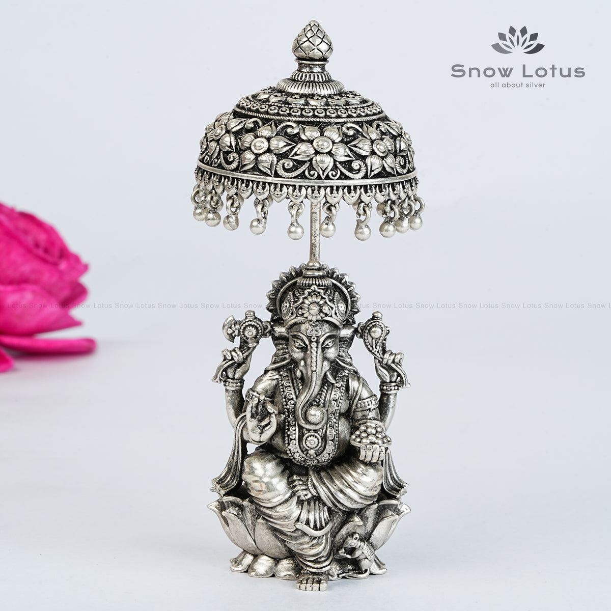 Umbrella Padmam Ganesh