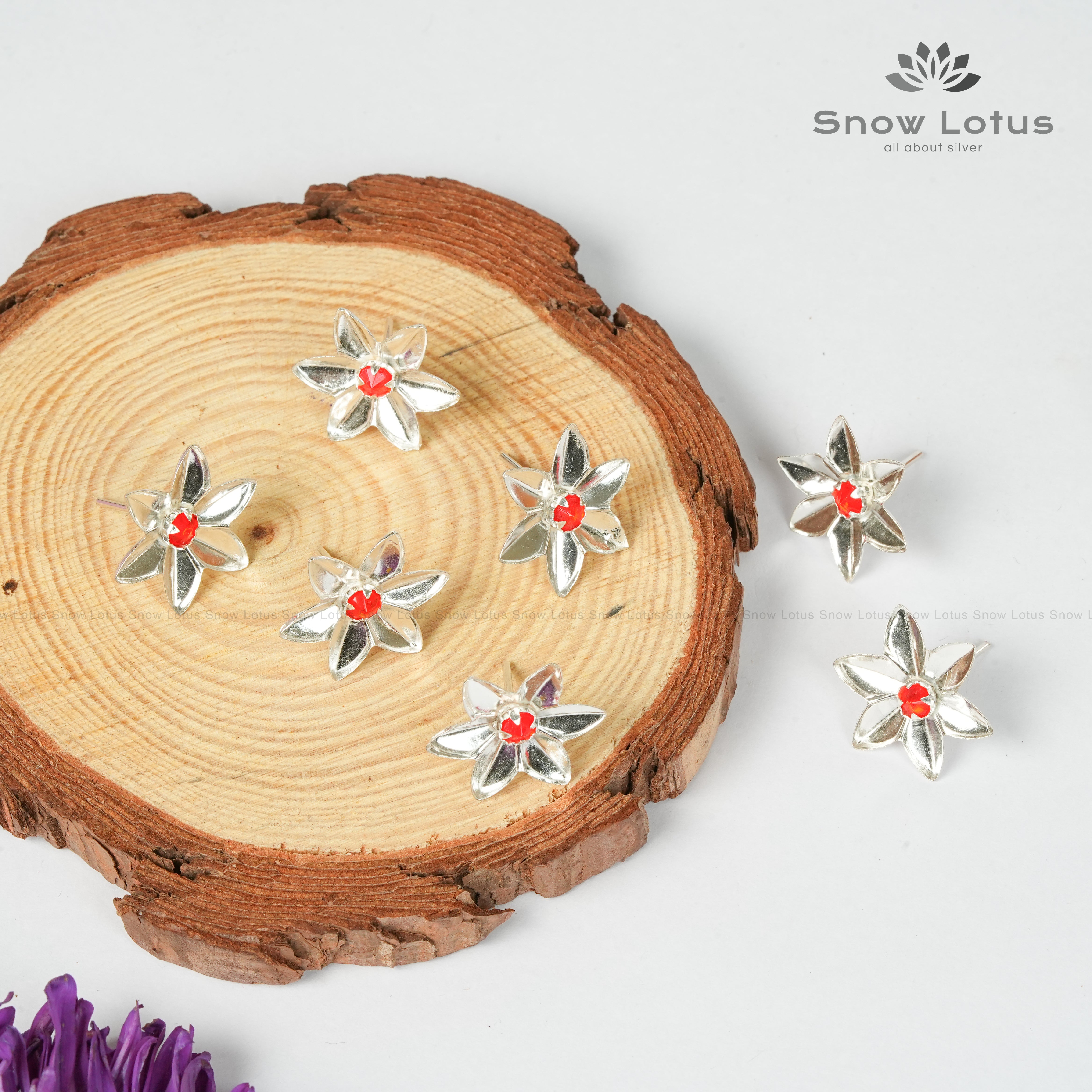 Parijatham Flowers Set of 10