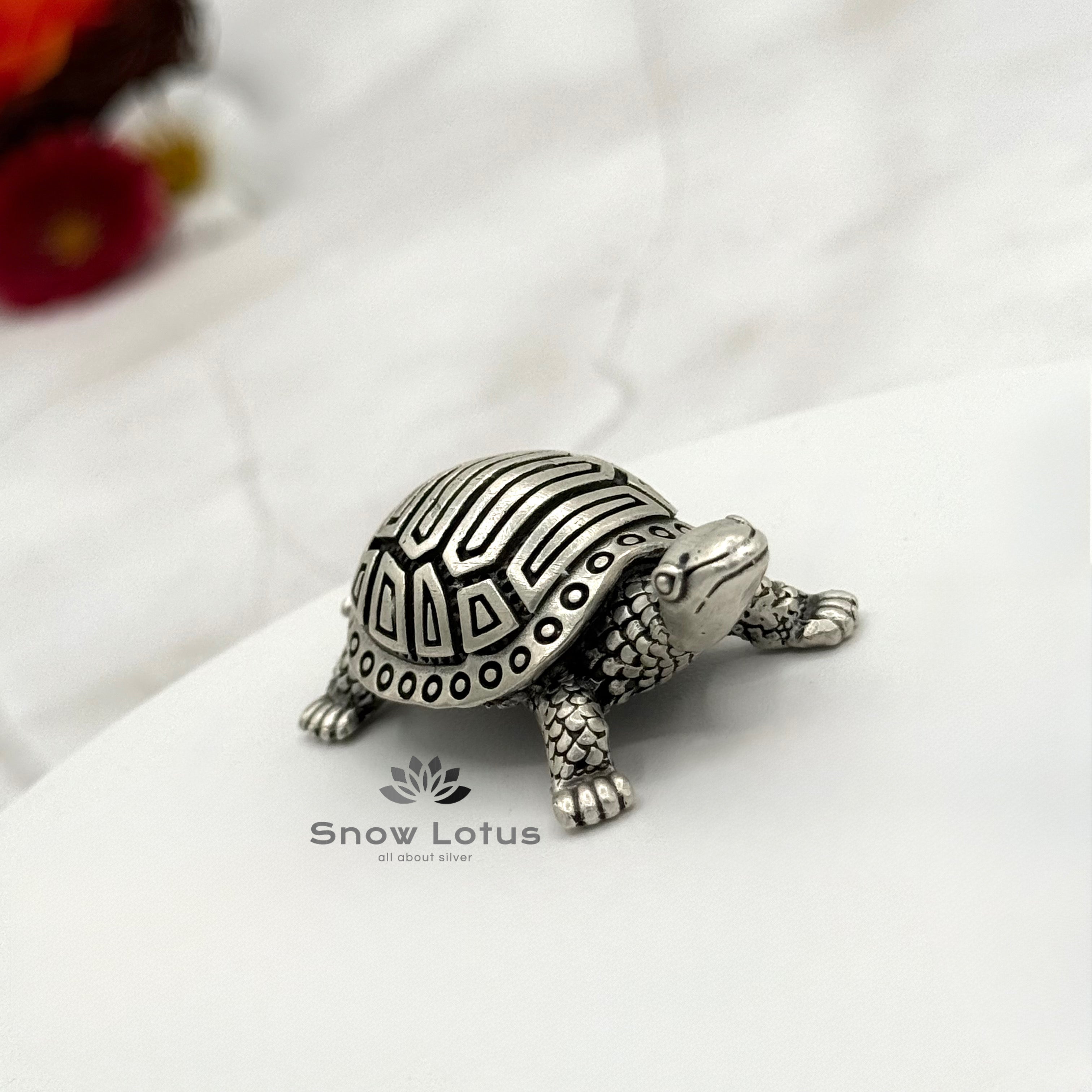 Turtles 3D