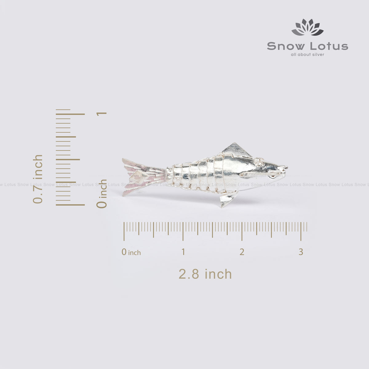 Silver Fish
