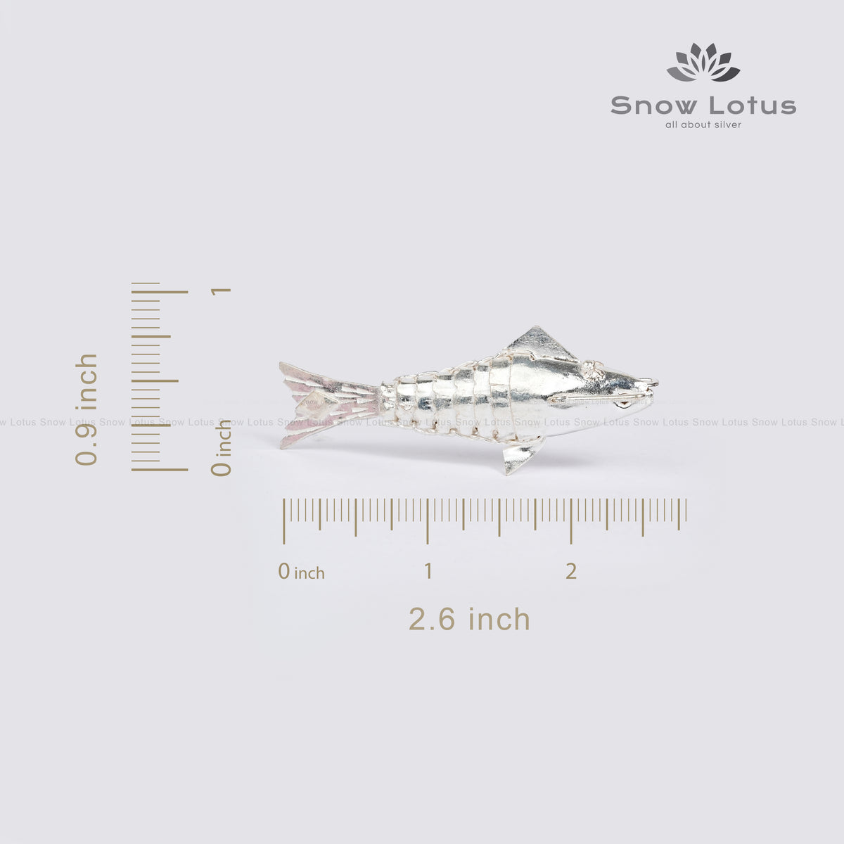 Silver Fish