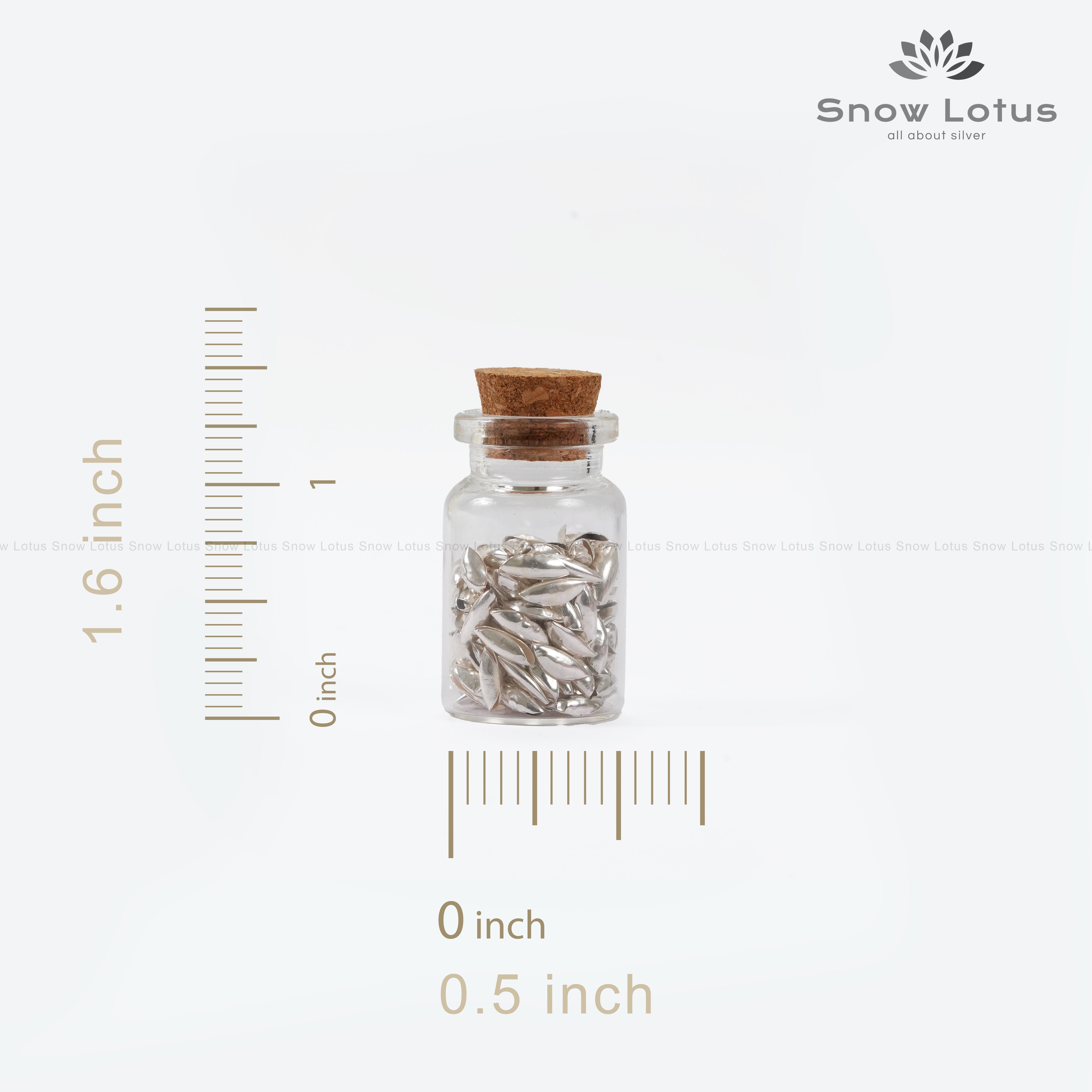 10 gms Akshintalu/Rice