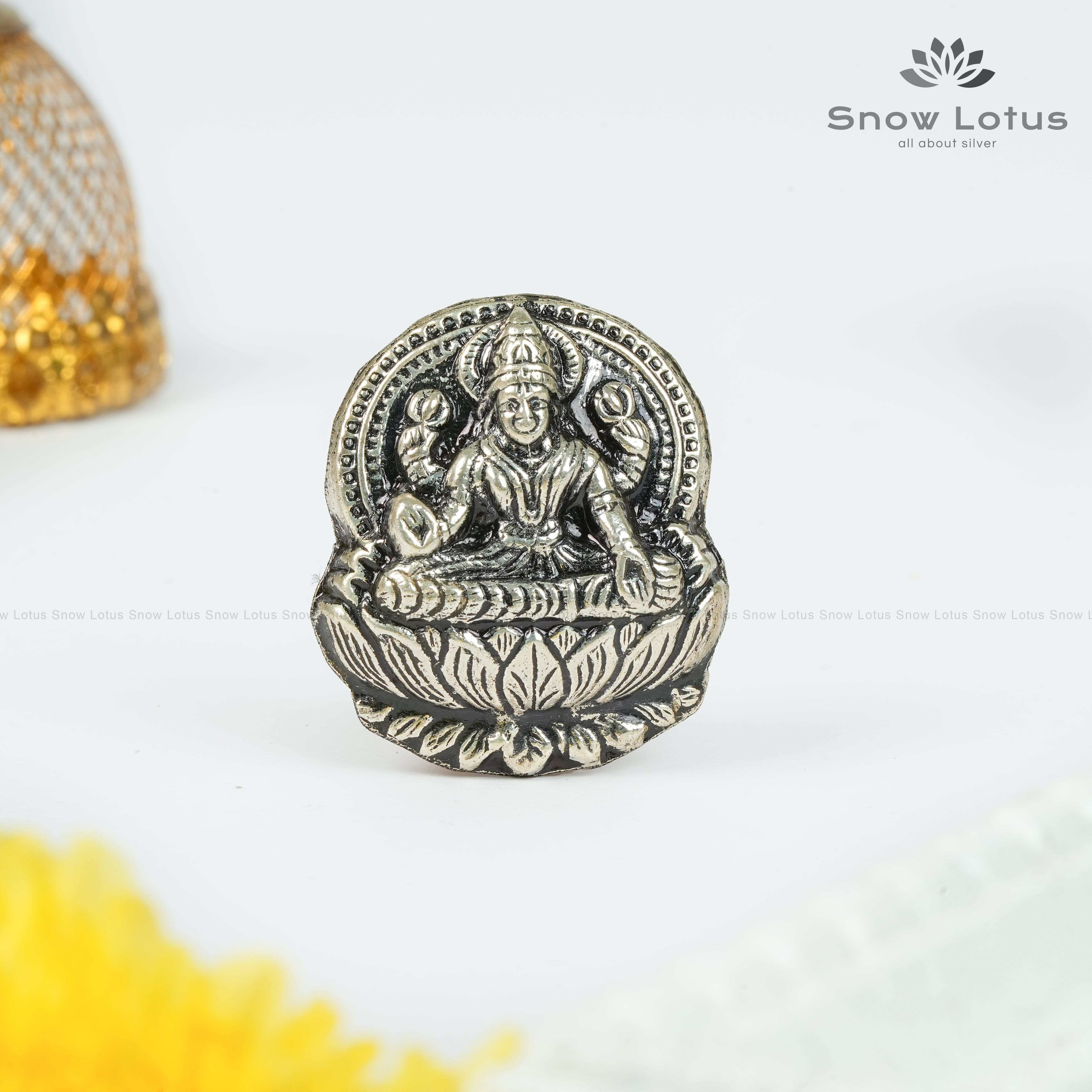 Magnet Lakshmi