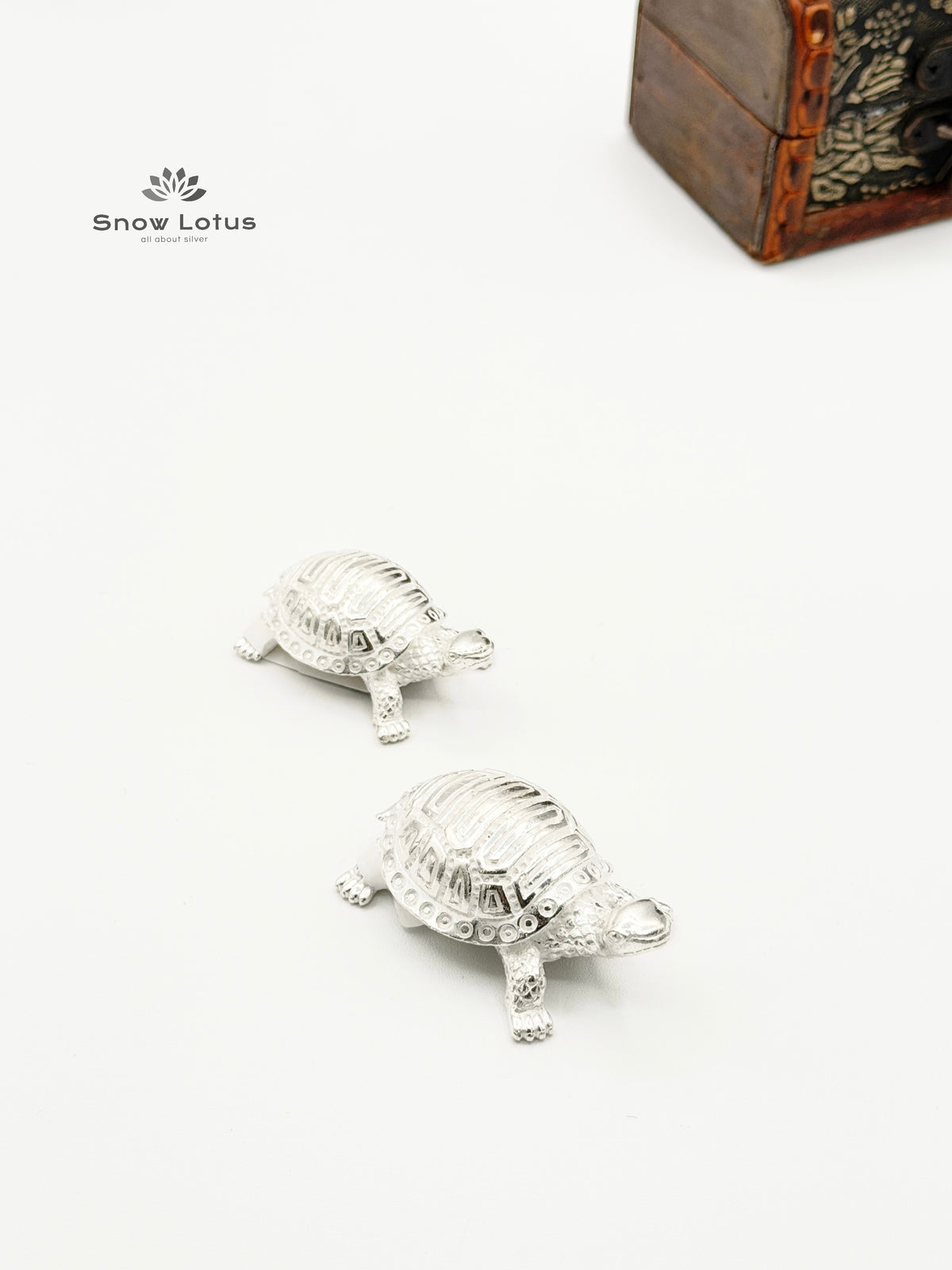 Turtle Silver Solid 3D